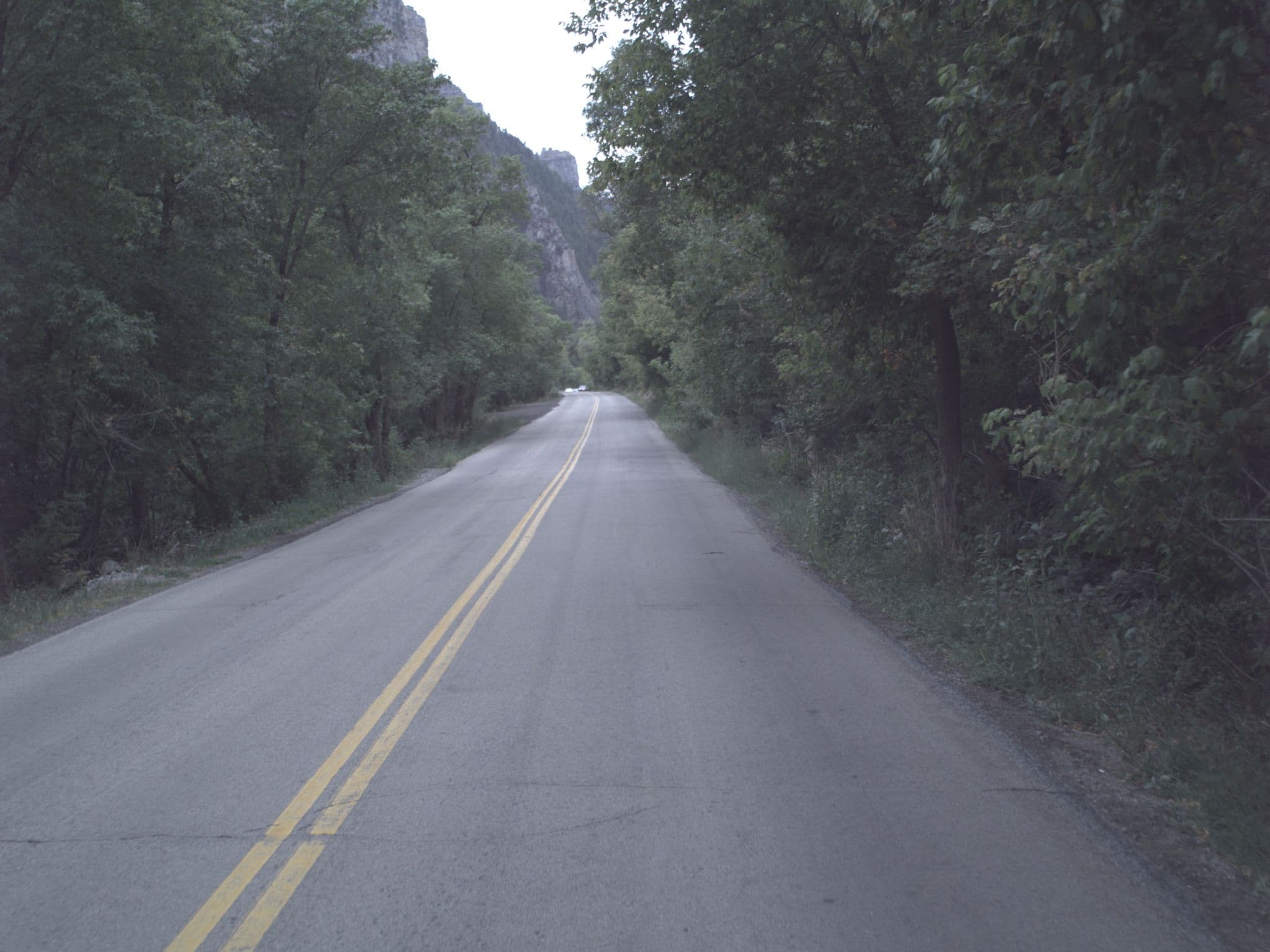 Street view near Camp Host, Cedar Hills — © asellars (CC BY-SA · Mapillary)