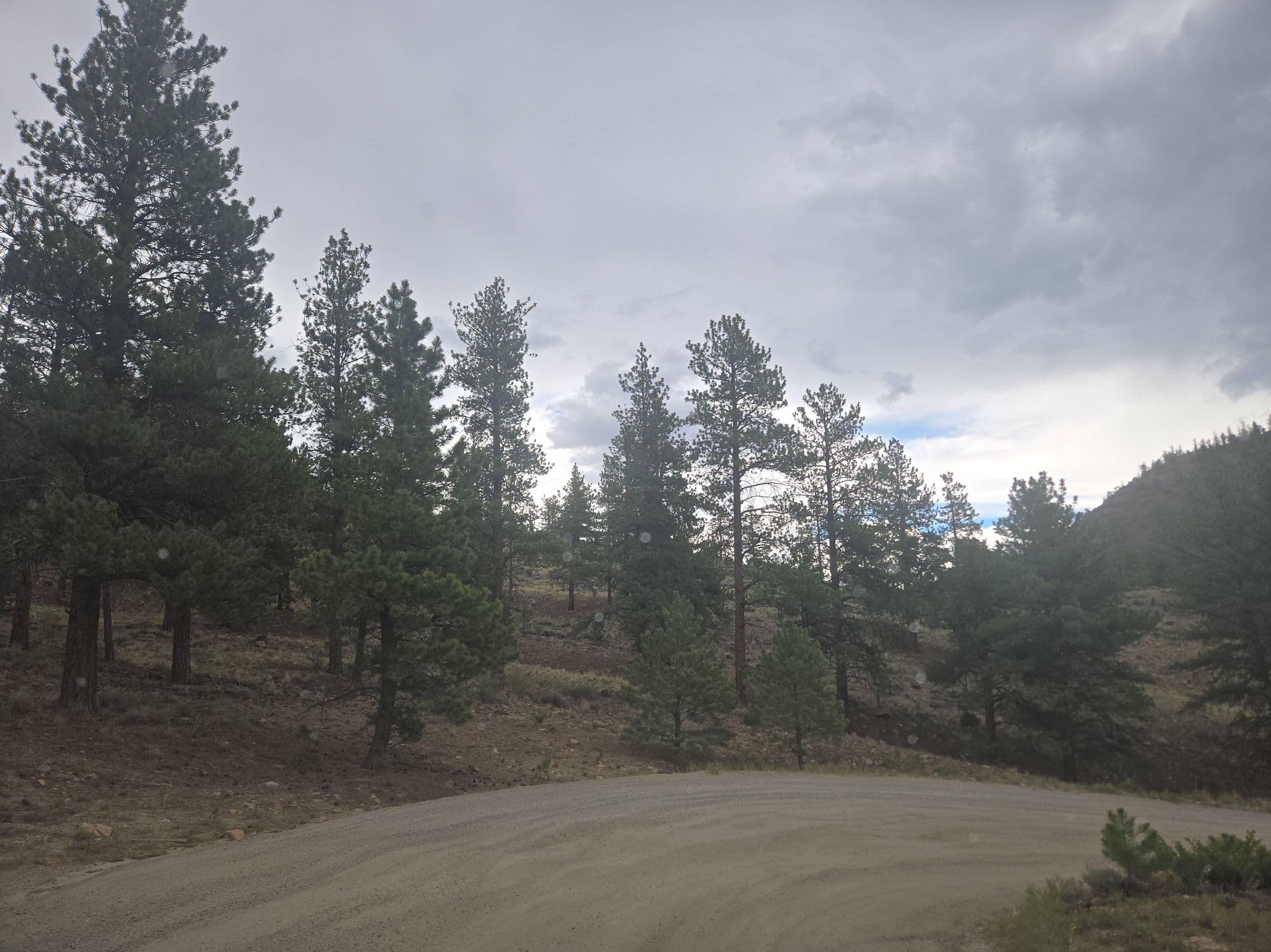 Street view near Marshall Pass Dispersed Campground, Gunnison — © Montrose_Lyle (CC BY-SA · Mapillary)