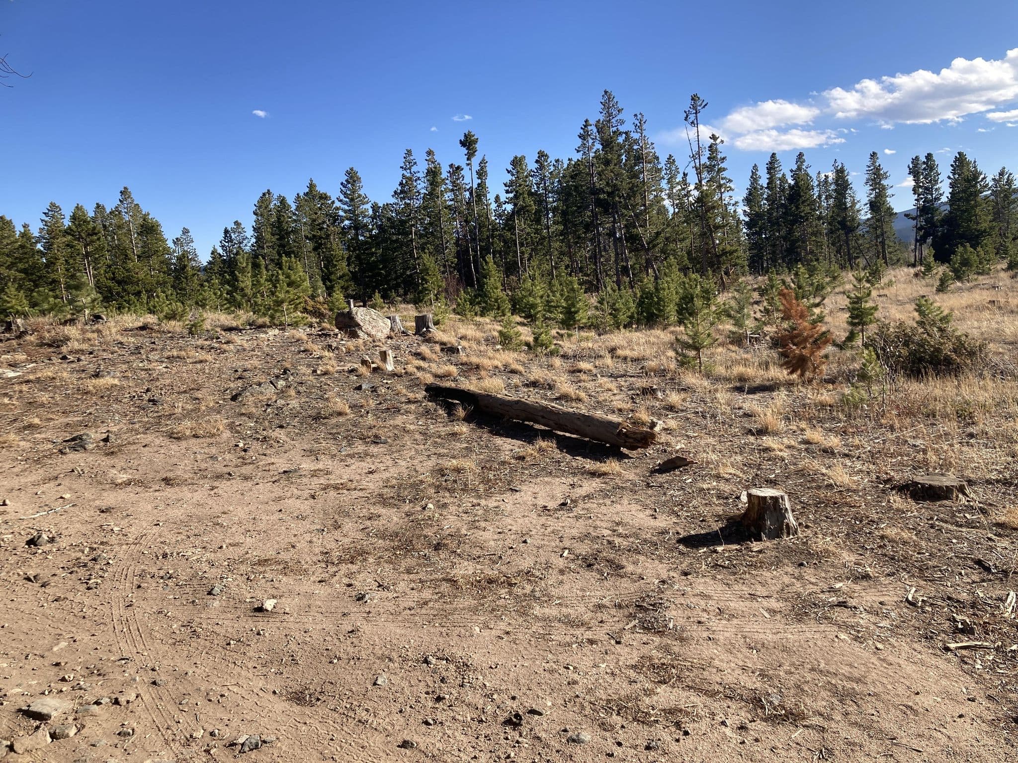 Street view near Site 4, Coal Creek — © dgrinbergs (CC BY-SA · Mapillary)
