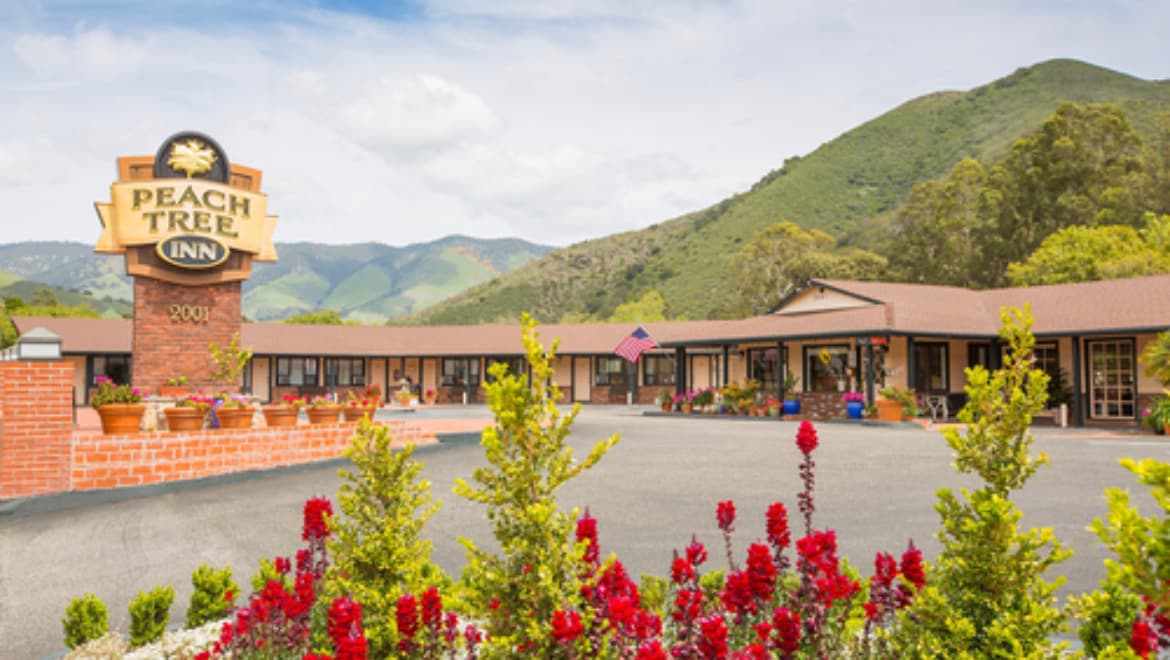 Peach Tree Inn, Motel in San Luis Obispo