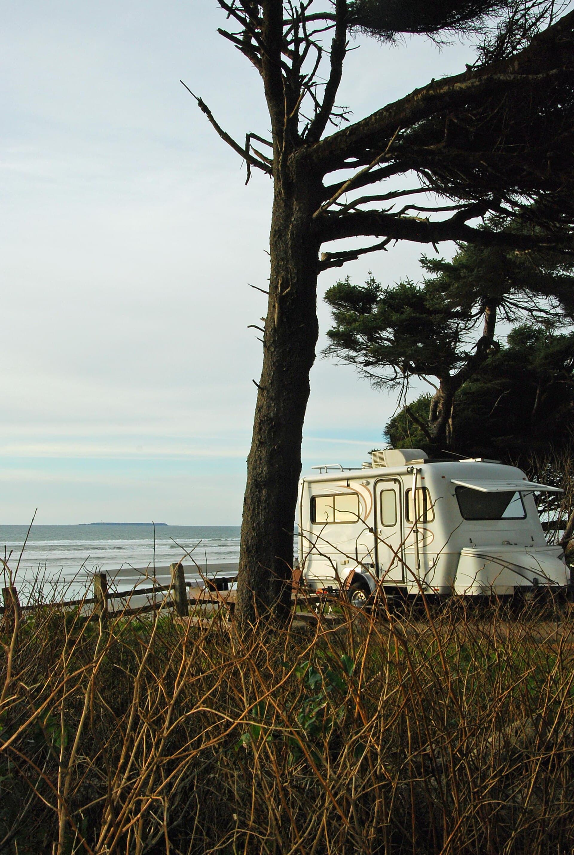 Kalaloch Campground (via Wikimedia Commons, Public domain)