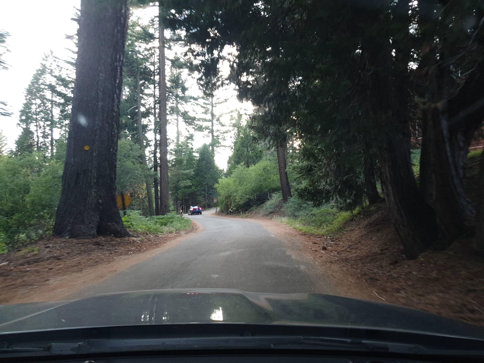 Street view near John Muir Lodge, Yokuts Valley — © yannakis (CC BY-SA · Mapillary)