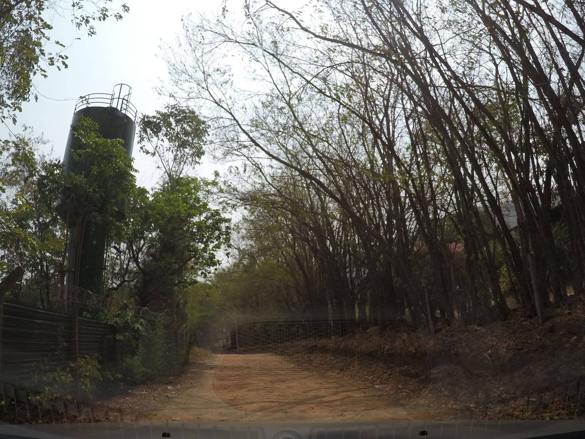 Street view near Alter Real, Pirenópolis — © pablo (CC BY-SA · Mapillary)