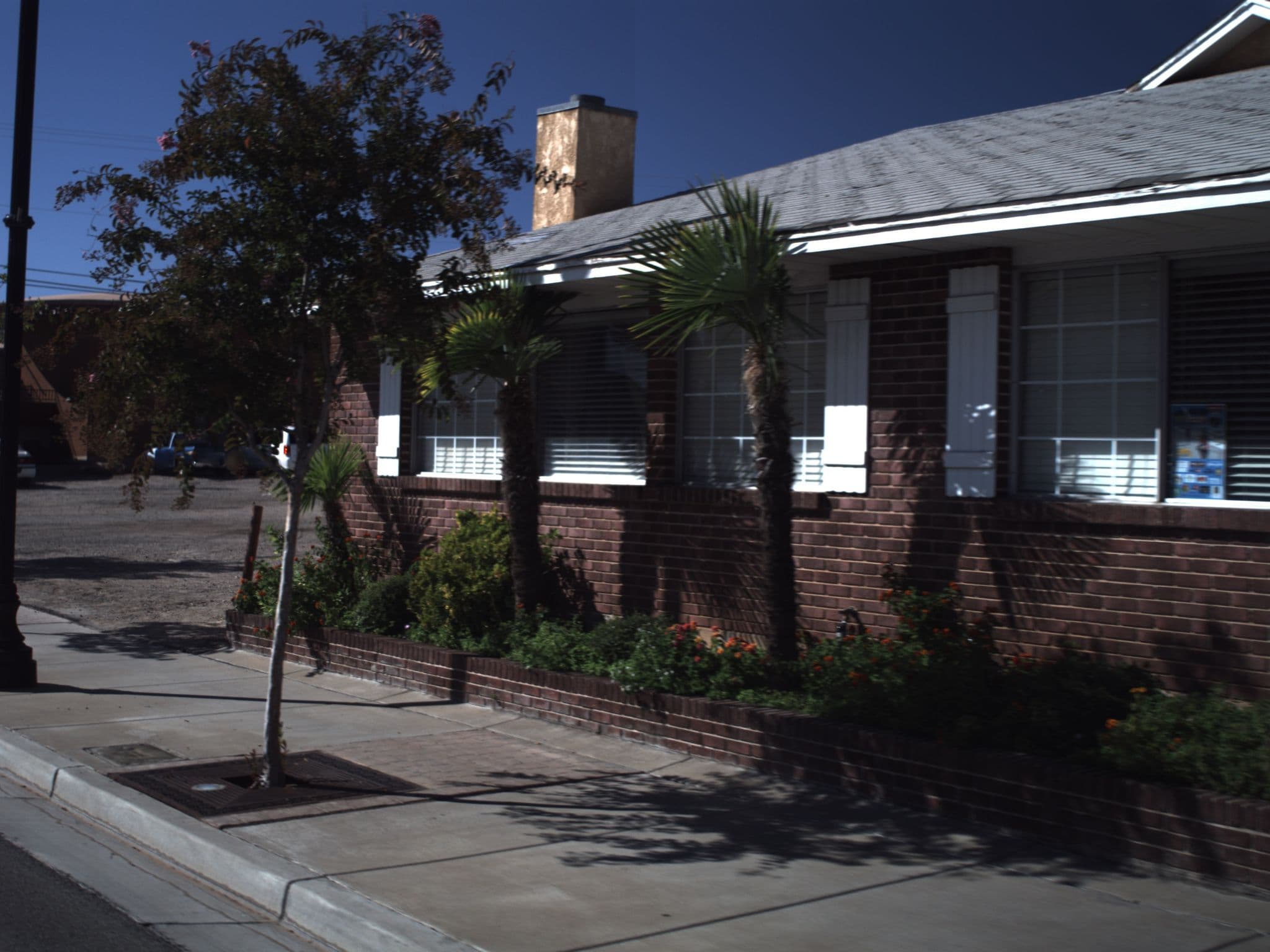 Street view near Dixie Palm, Saint George — © asellars (CC BY-SA · Mapillary)