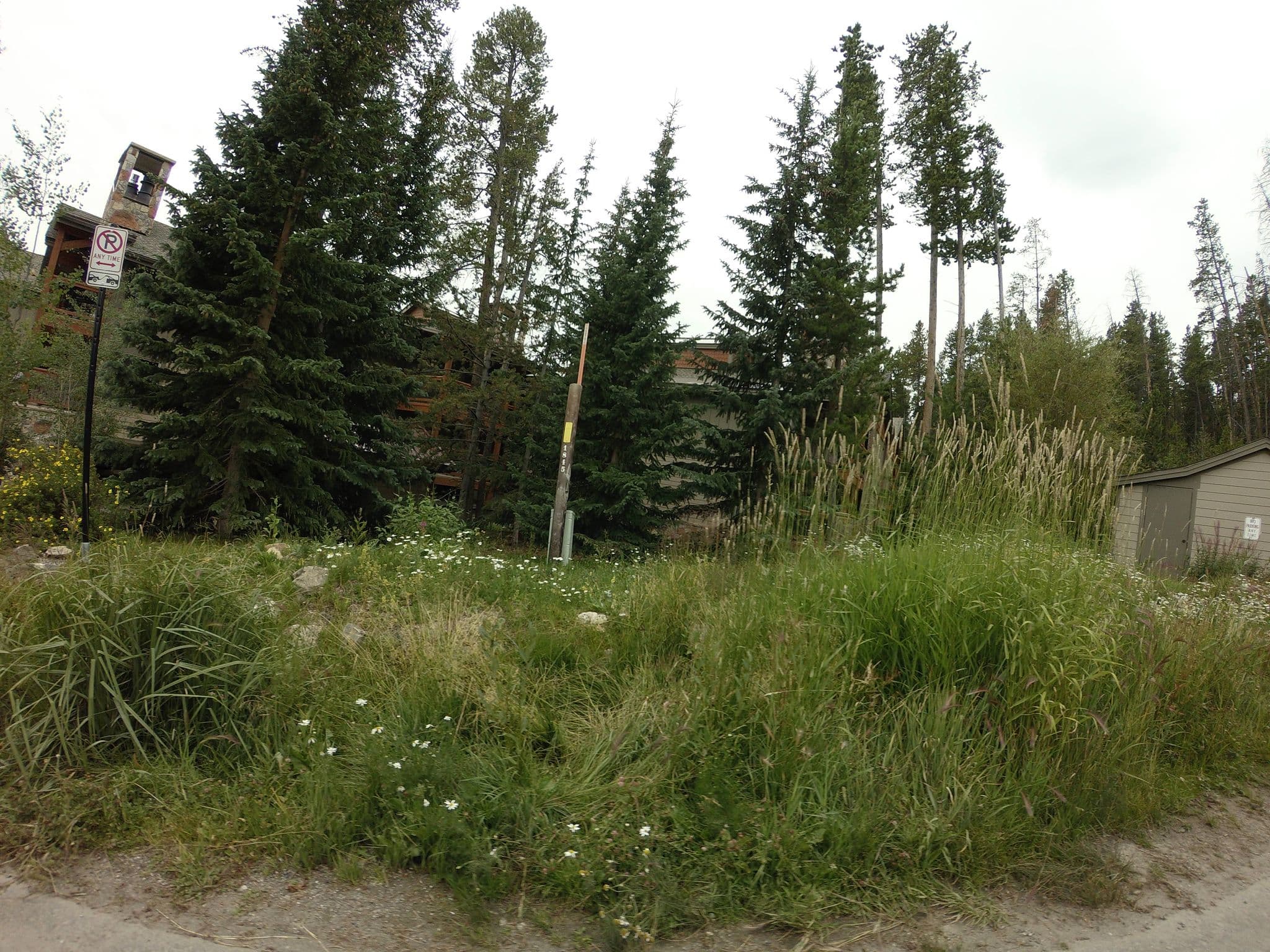 Street view near Skiwatch, Silverthorne — © talllguy (CC BY-SA · Mapillary)