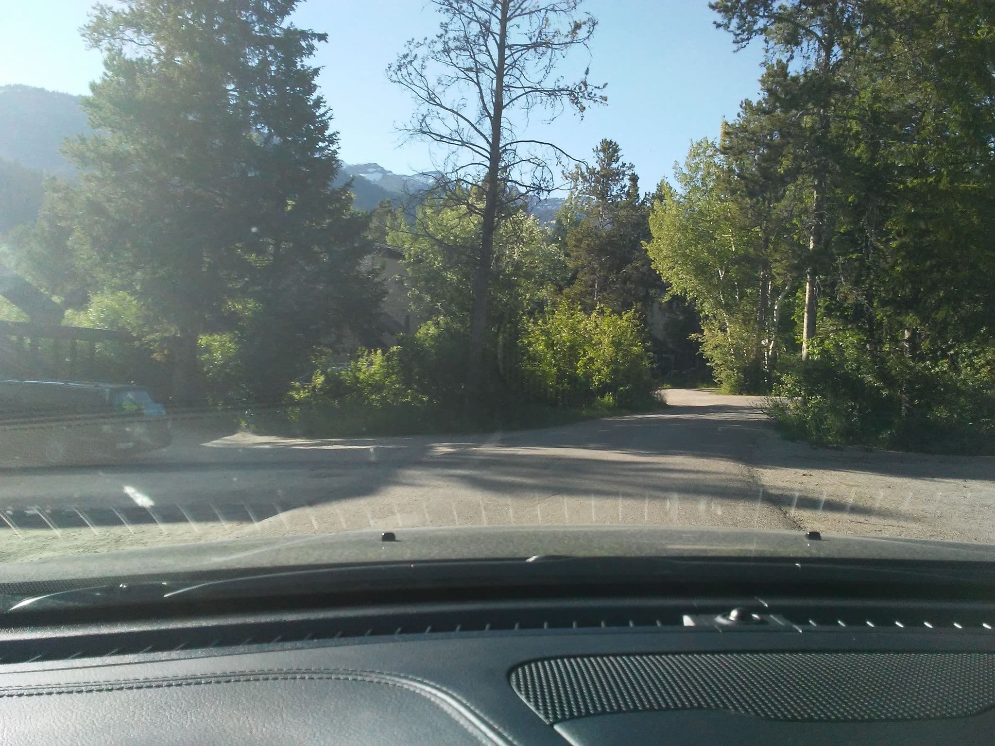 Street view near Sarvisberry, Moose Wilson Road