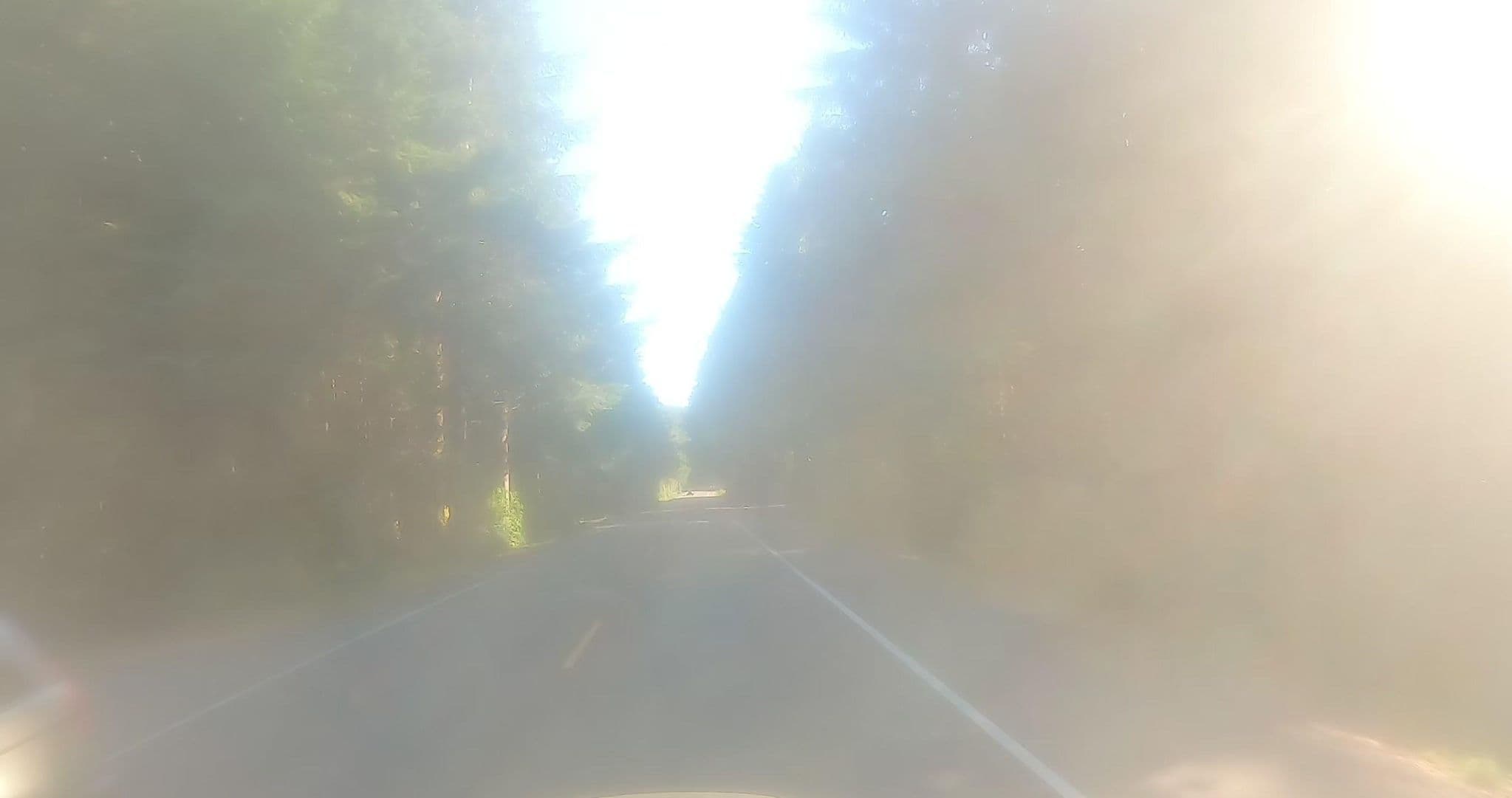 Street view near Tahkenitch Campground, Dunes City — © networklanman (CC BY-SA · Mapillary)