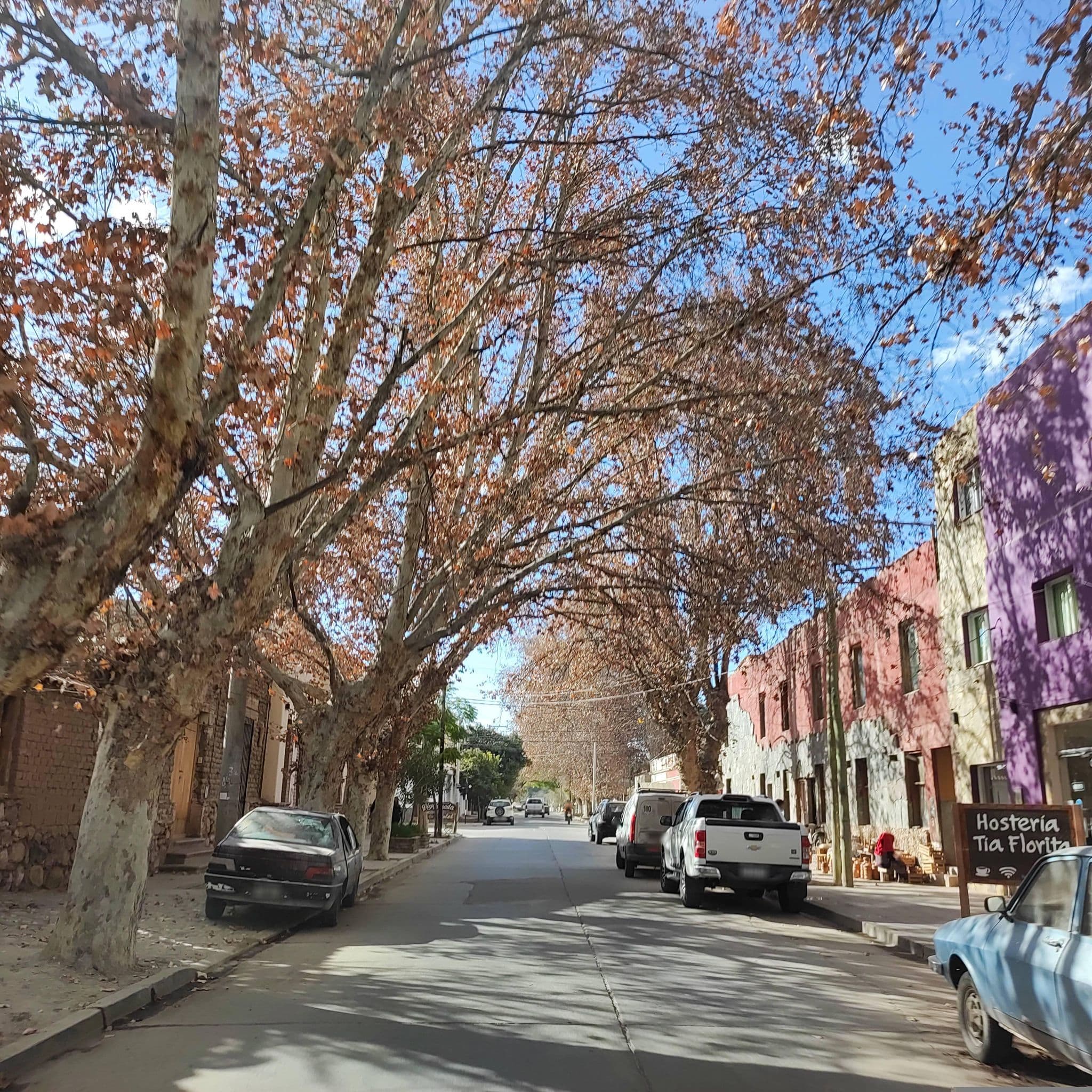 Street view near Hostería Tía Florita, Cafayate — © diegokrein (CC BY-SA · Mapillary)