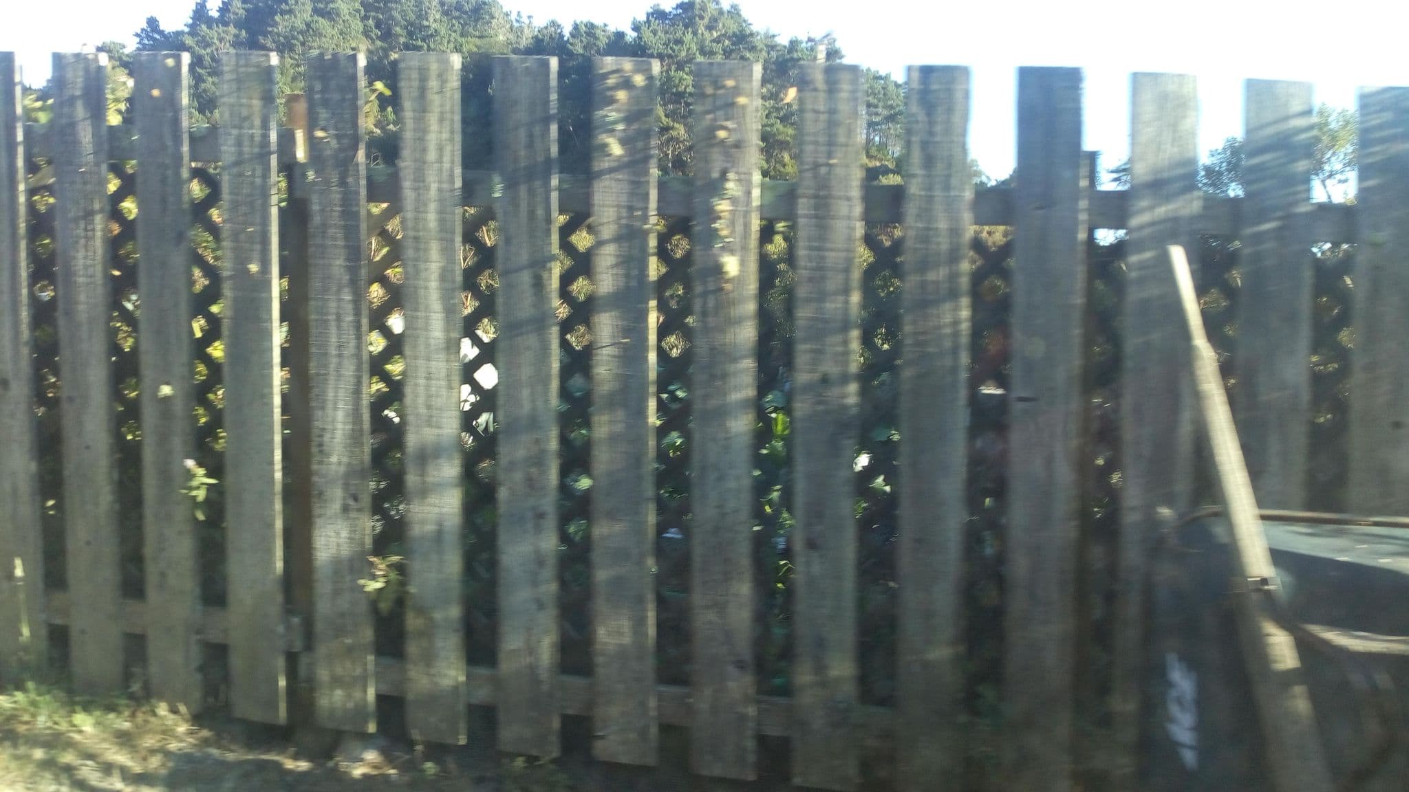 Street view near Limantour Lodge, Lagunitas-Forest Knolls — © bob098 (CC BY-SA · Mapillary)