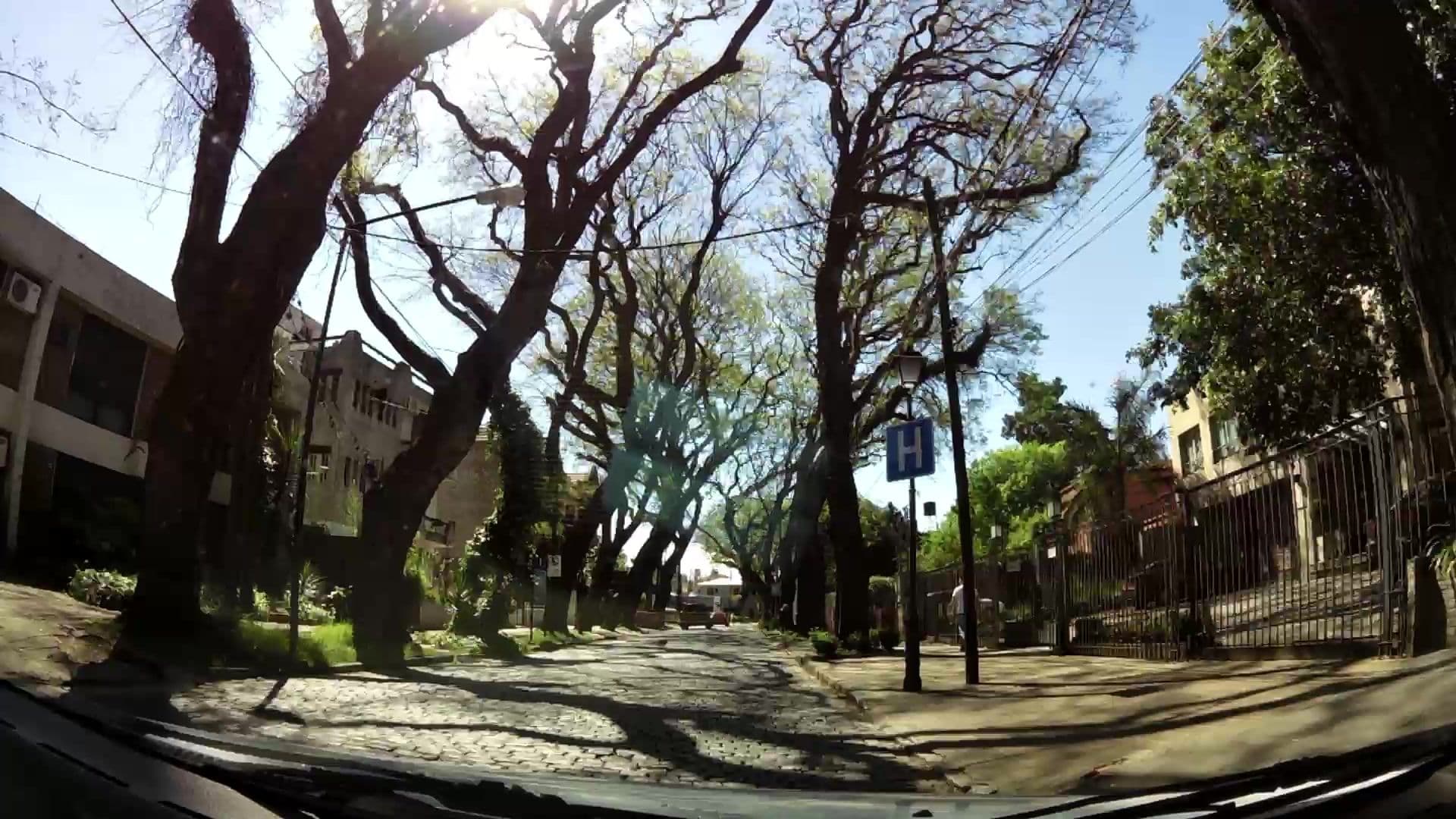 Street view near Villa Isidro, San Isidro — © kaartcam (CC BY-SA · Mapillary)