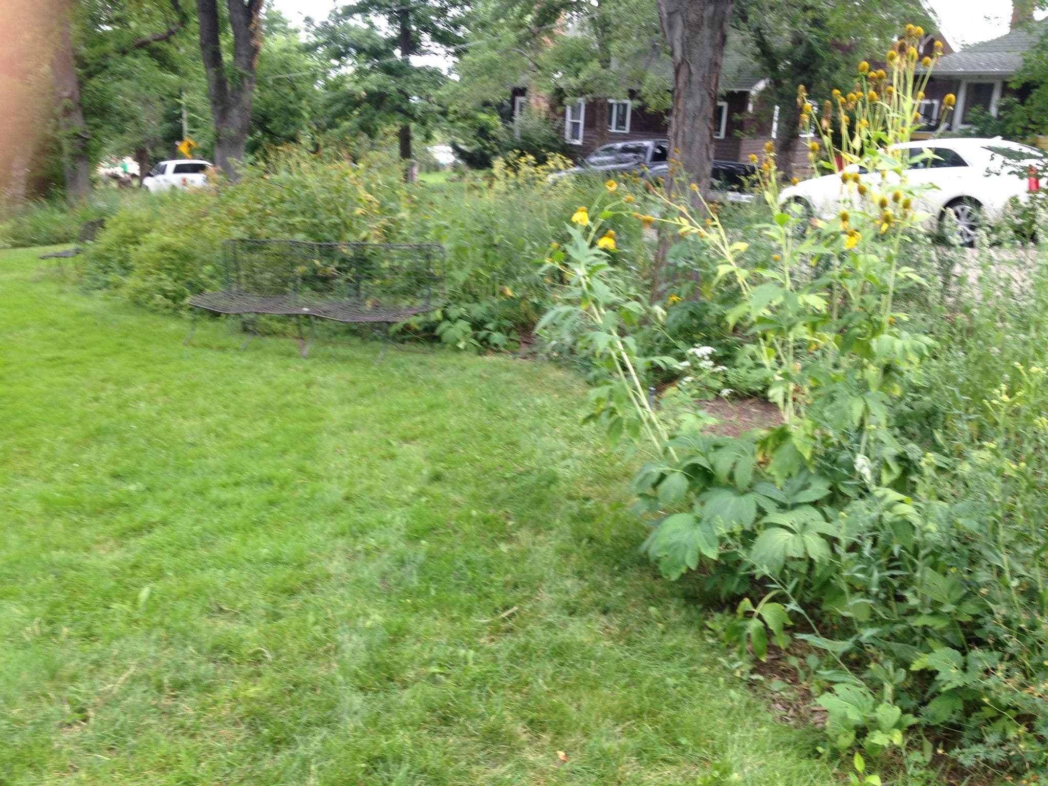 Street view near Missions House Lodge, Boulder — © dgrinbergs (CC BY-SA · Mapillary)