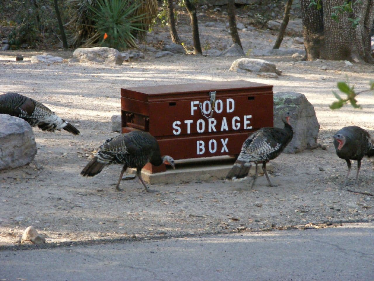 Bonita Canyon Campground (via Wikimedia Commons, CC BY-SA 2.0)