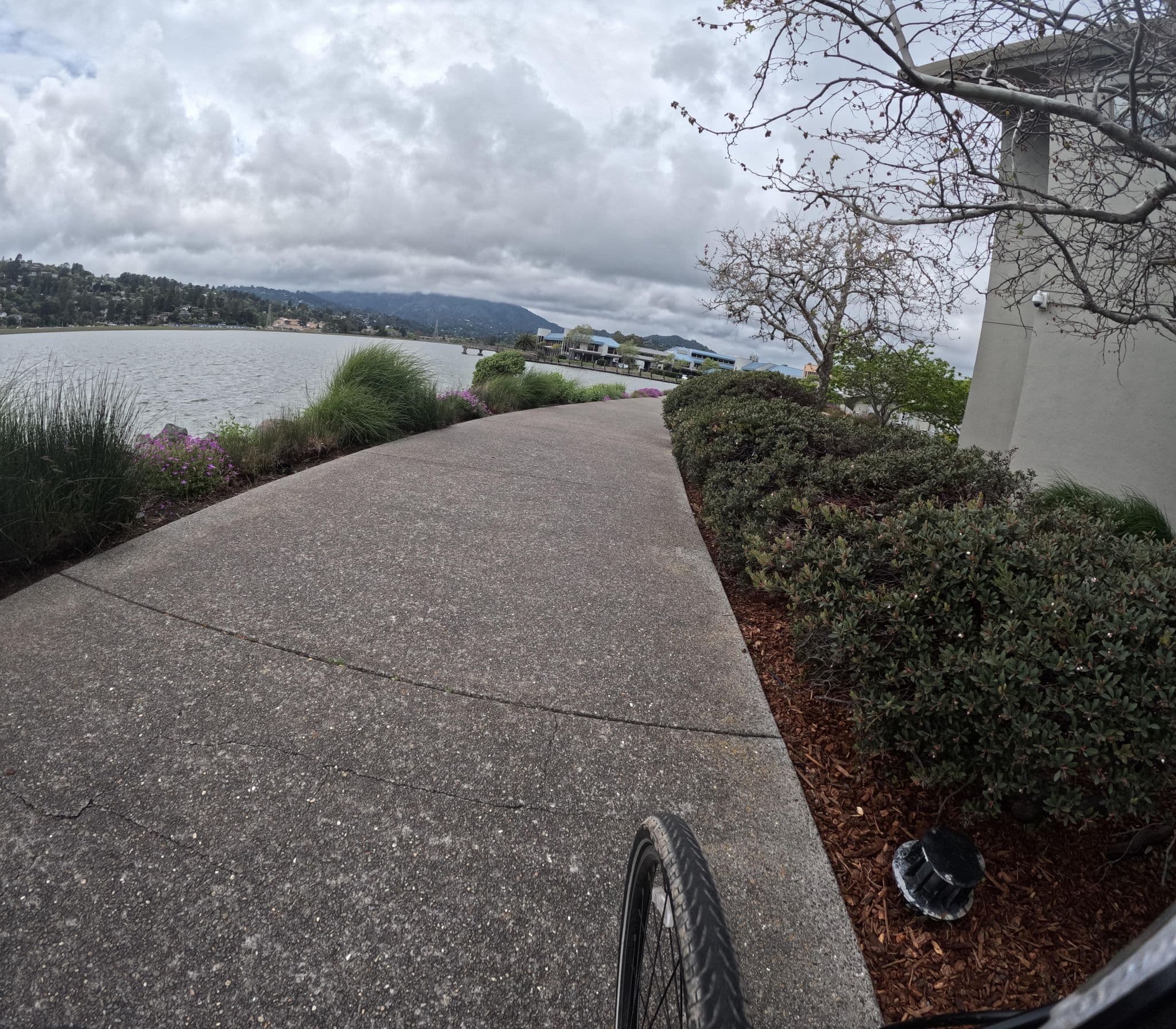Street view near Acqua Hotel, Strawberry — © sfbaytrail (CC BY-SA · Mapillary)