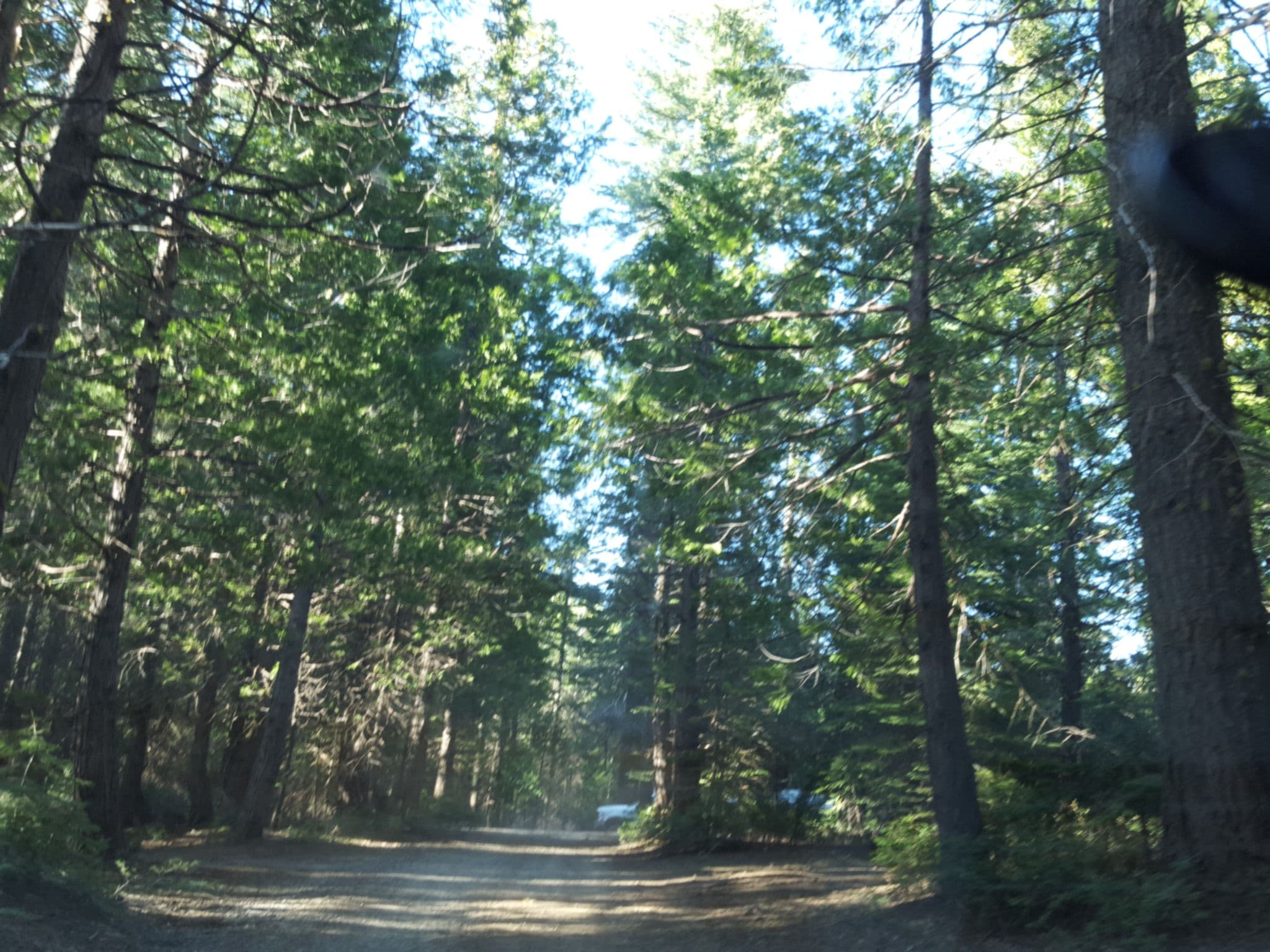 Street view near Gaggs Camp, Ahwahnee — © nmixter (CC BY-SA · Mapillary)