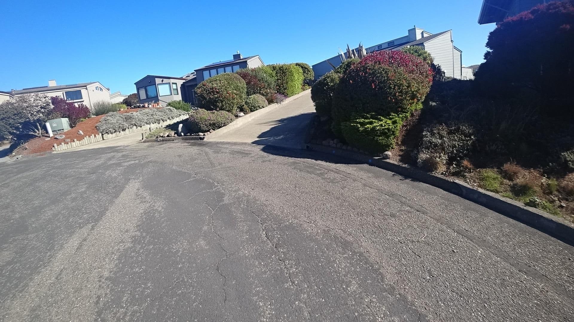 Street view near Ocean Treasure, Bodega Bay — © marker_geo (CC BY-SA · Mapillary)