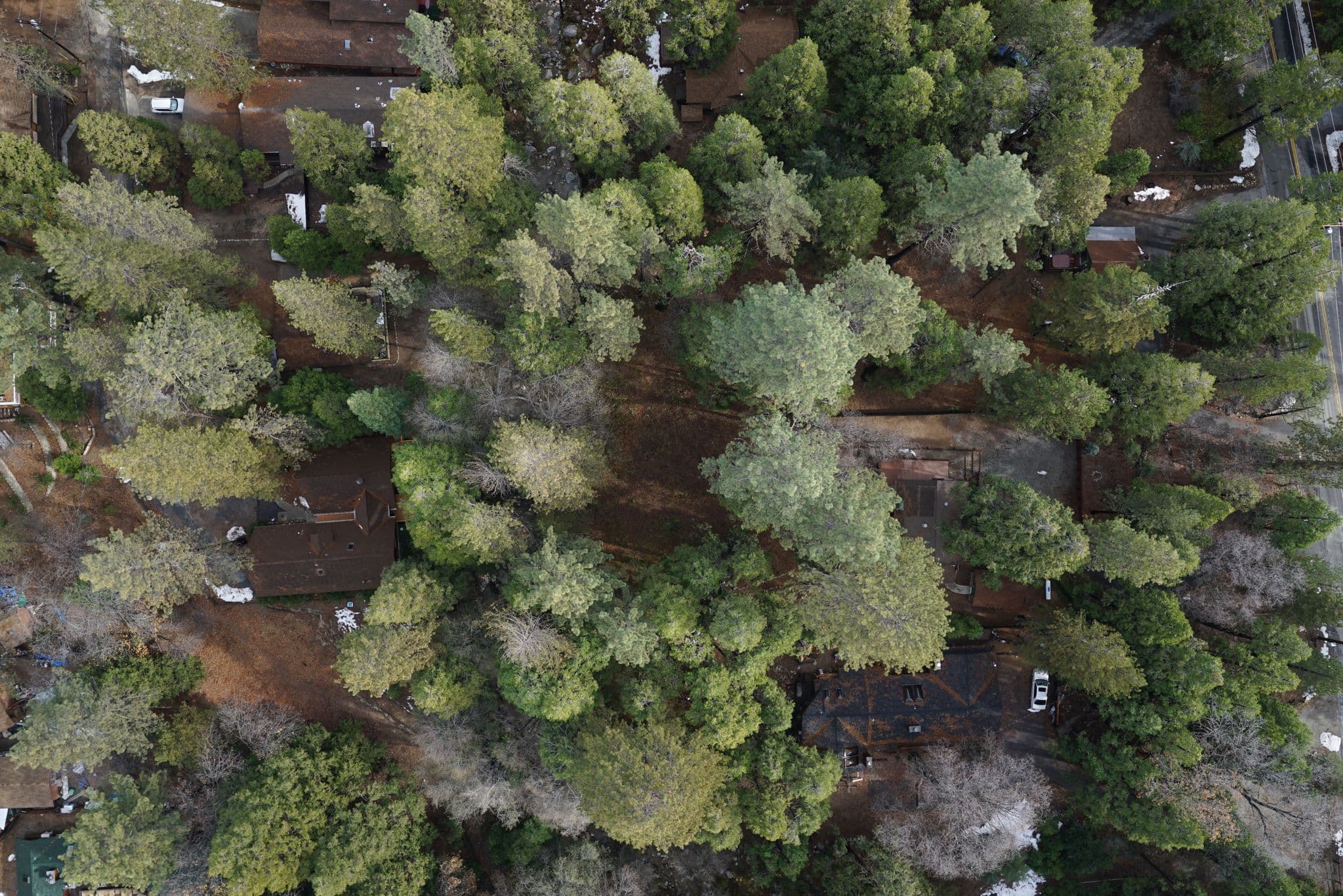 Street view near Creekside Lodge, Idyllwild — © udsinc (CC BY-SA · Mapillary)