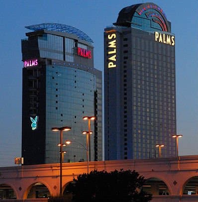 Palms (via Wikimedia Commons, CC BY-SA 3.0)