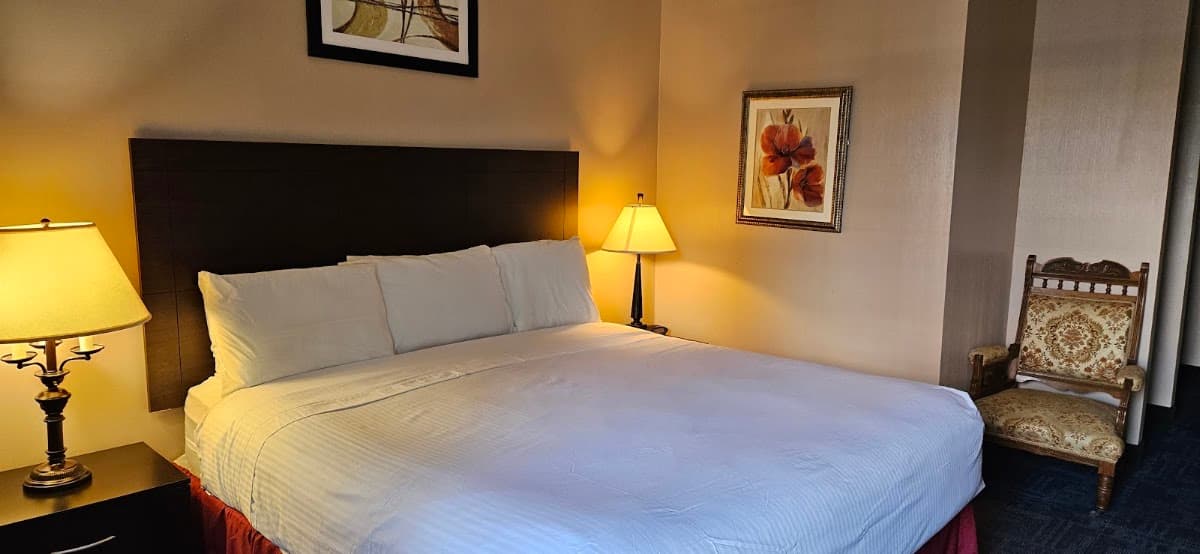 Bellis Inn, Hotel in Bellingham