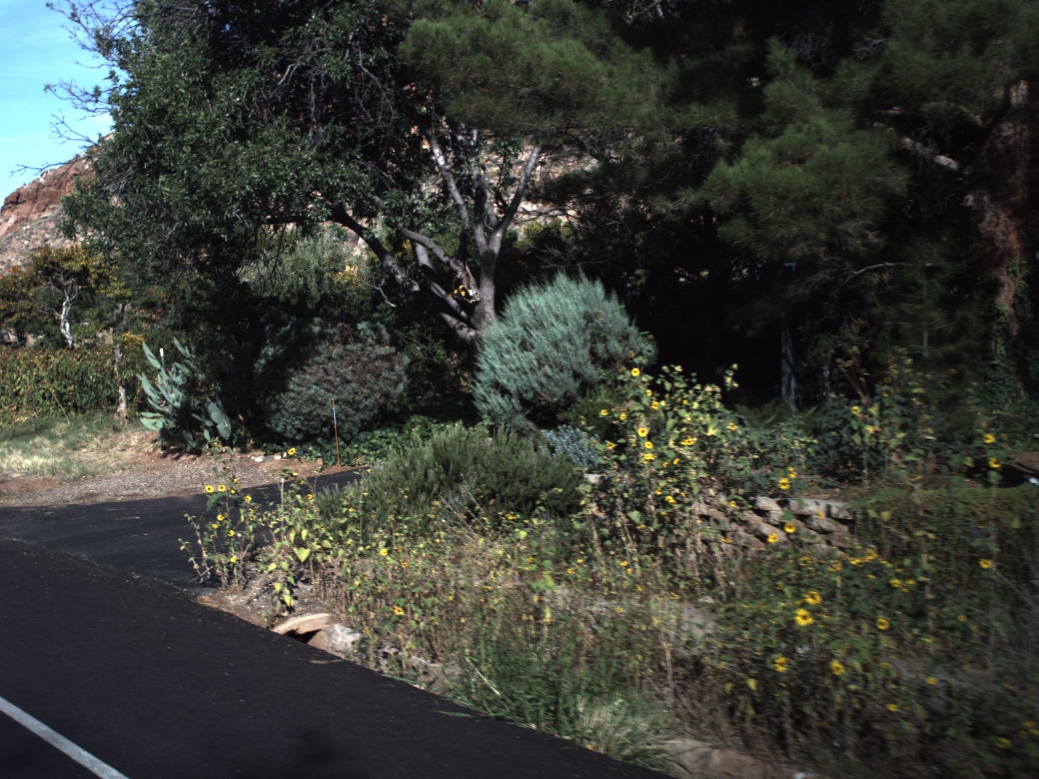 Street view near Tyler Inn At Zion Bed & Breakfast, Hildale — © asellars (CC BY-SA · Mapillary)