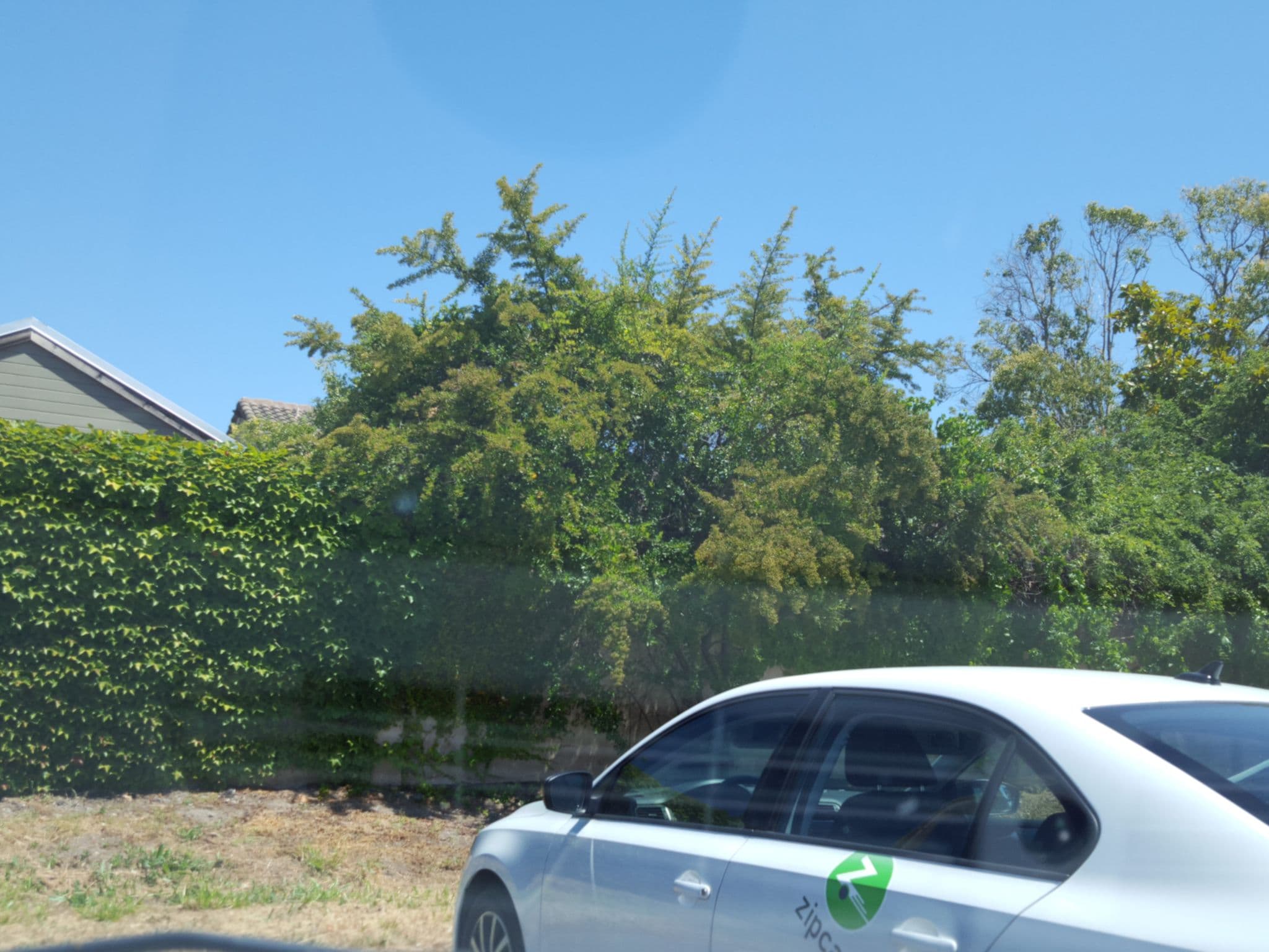 Street view near Bungalow 313 Vacation Rentals, Sonoma — © nmixter (CC BY-SA · Mapillary)