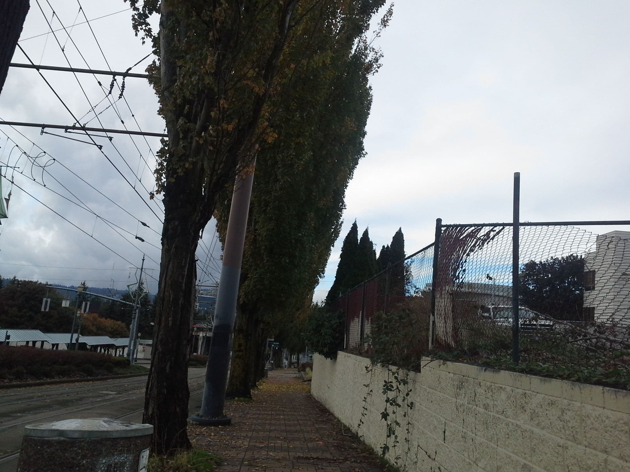 Street view near Hyatt Regency, Portland — © rbracket (CC BY-SA · Mapillary)