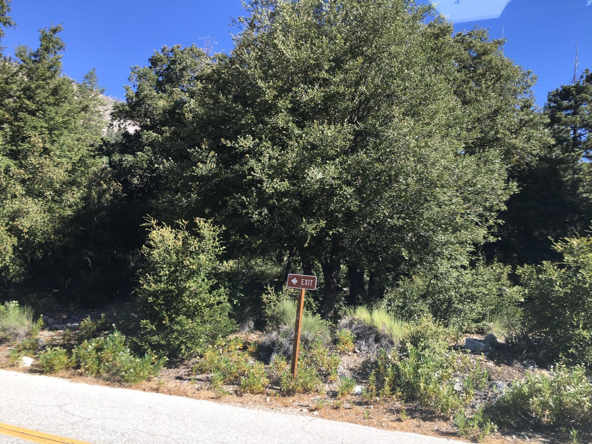 Street view near Crystal Lake Campground, Wrightwood — © longden (CC BY-SA · Mapillary)