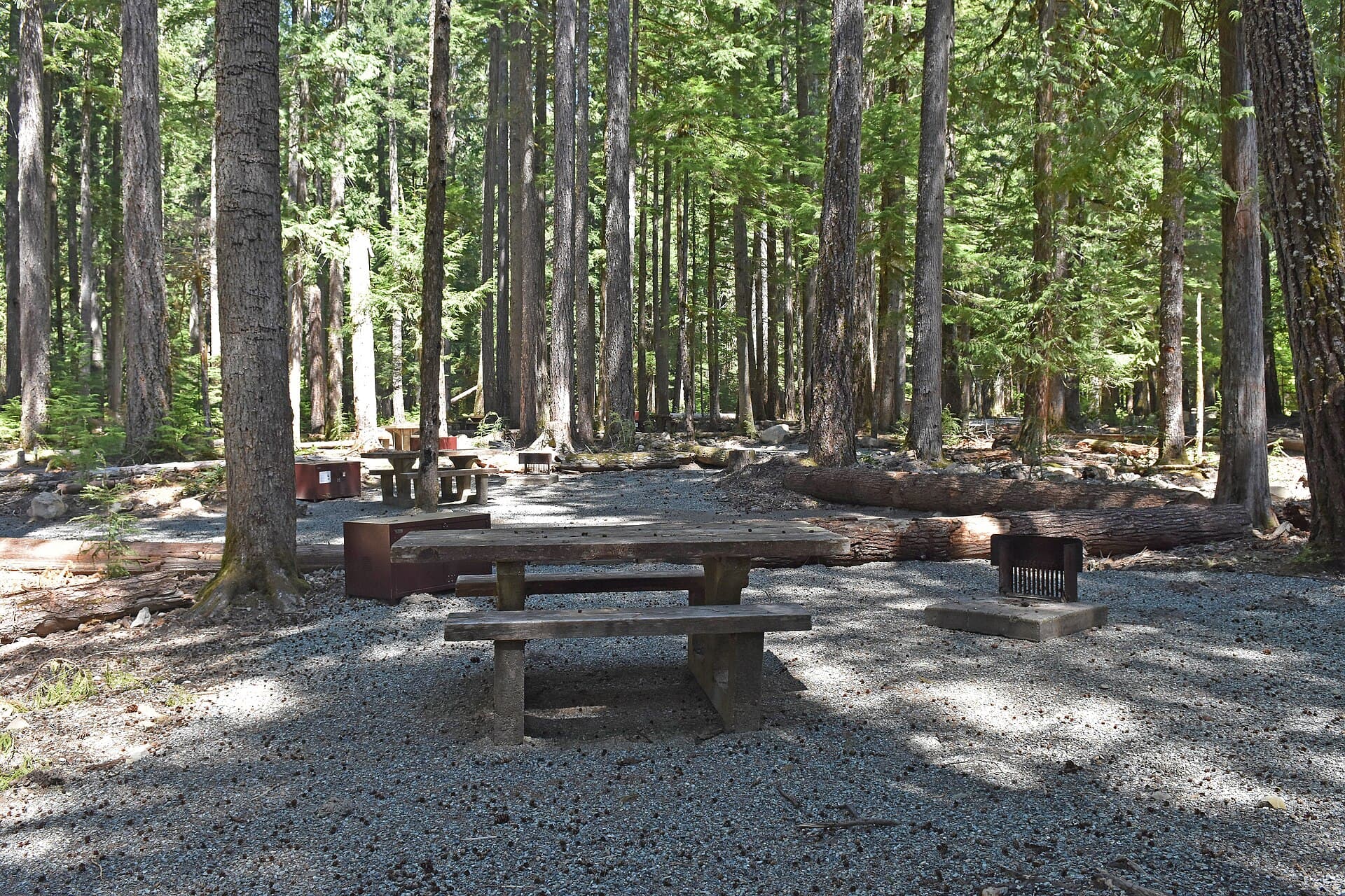 Ohanapecosh Campground (via Wikimedia Commons, CC BY 2.0)