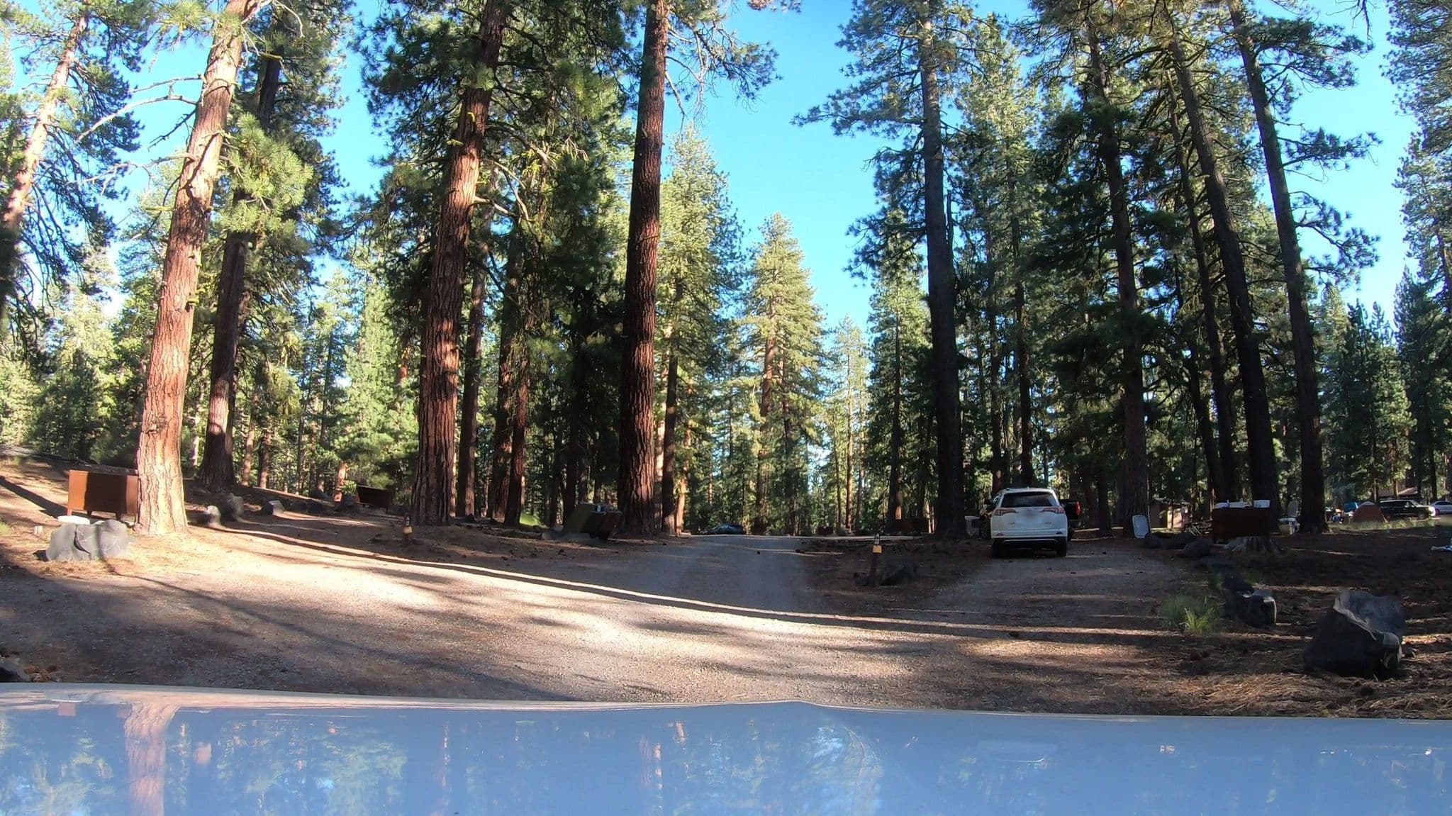 Street view near Butte Lake Campground, Burney — © networklanman (CC BY-SA · Mapillary)