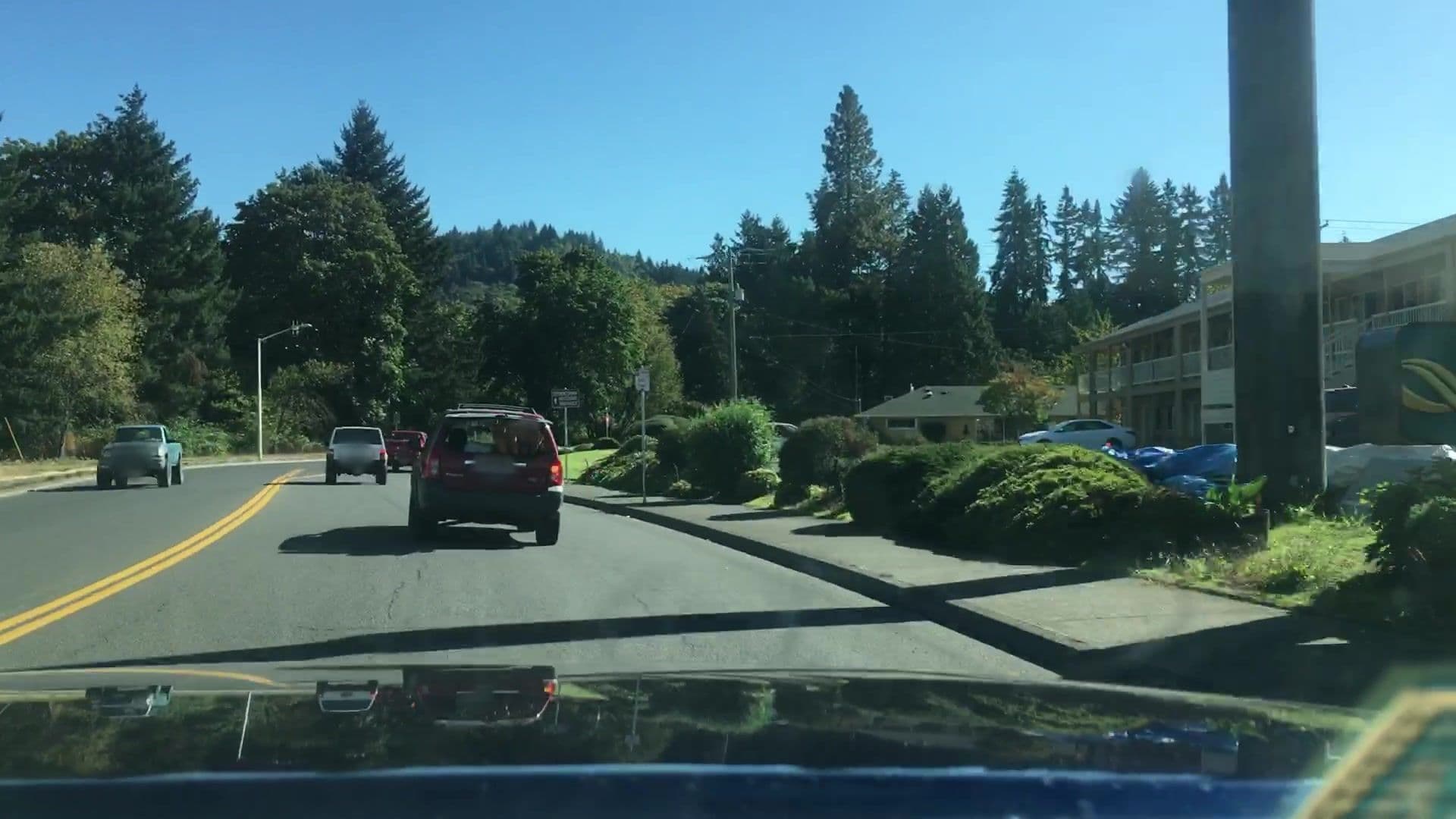 Street view near Cottage Grove Inn, Creswell — © lvl5 (CC BY-SA · Mapillary)