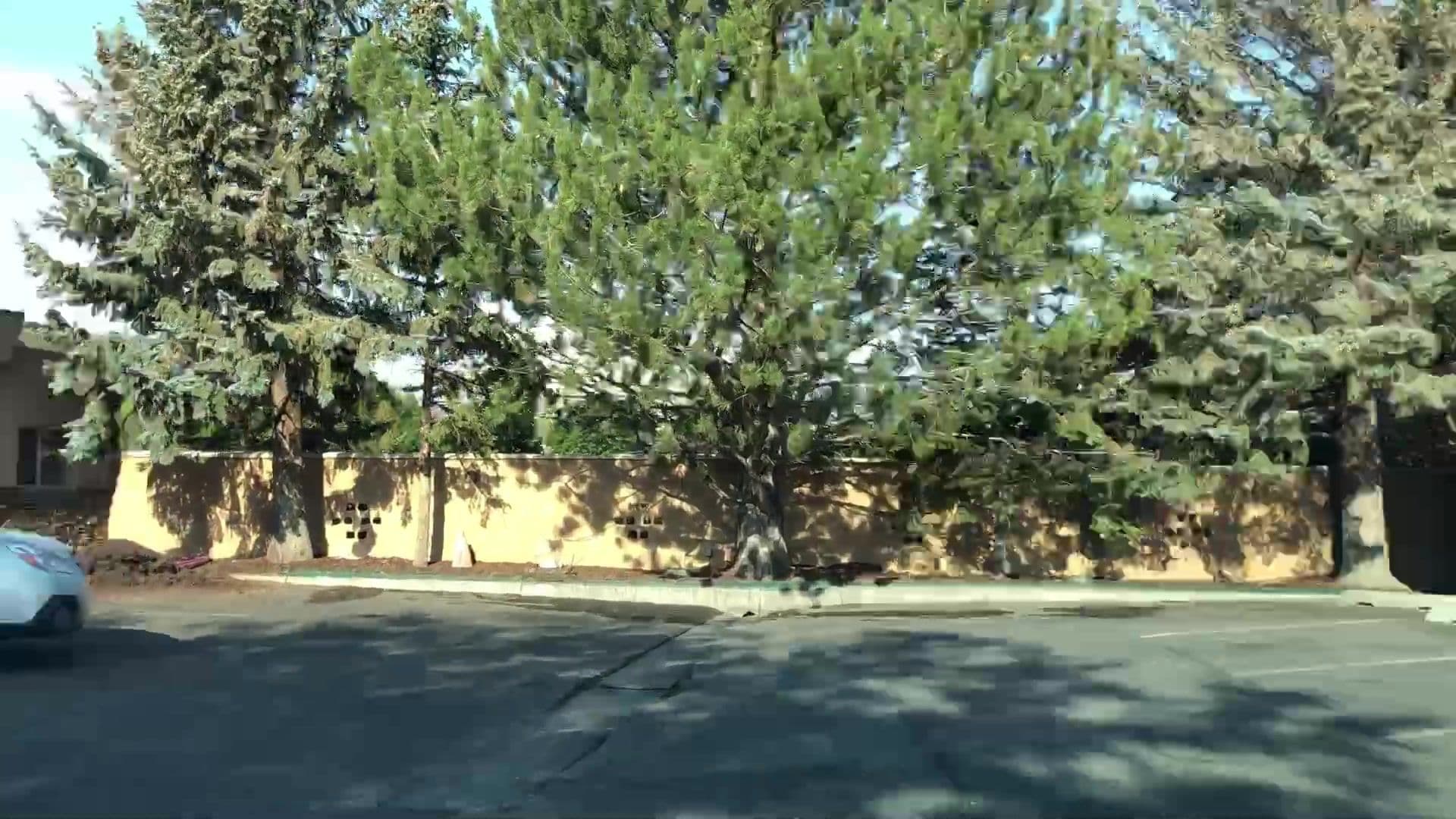 Street view near Best Western Driftwood Inn, Idaho Falls — © lvl5 (CC BY-SA · Mapillary)