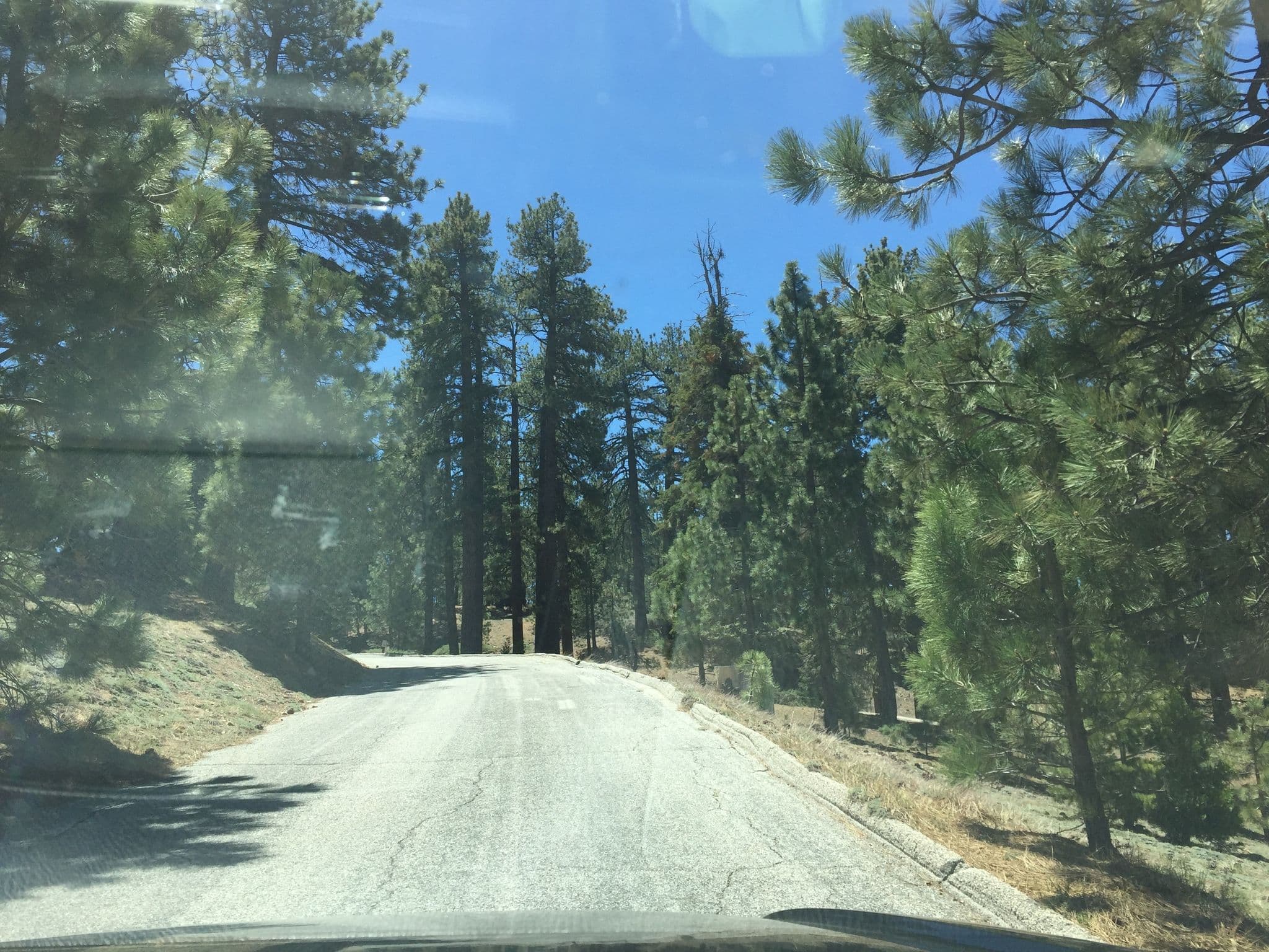 Street view near Table Mountain Campground, Wrightwood — © teemsaj (CC BY-SA · Mapillary)