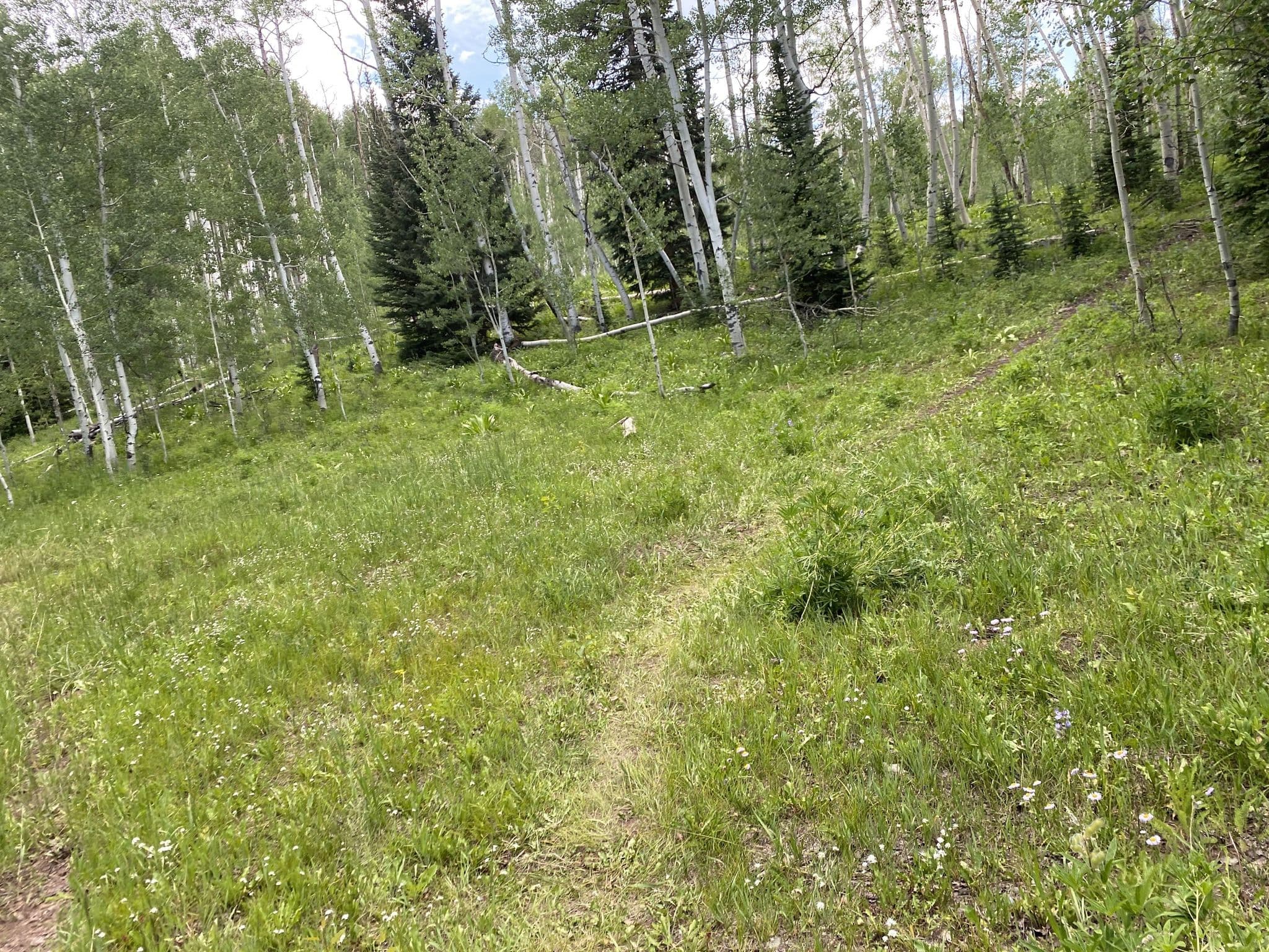Street view near Campsites FC6, Crested Butte — © derricknehrenberg (CC BY-SA · Mapillary)