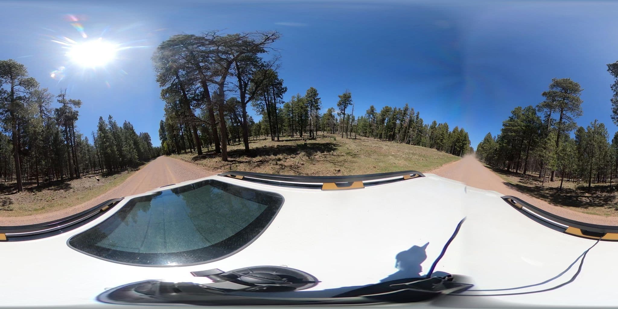 Street view near Forest Road 169 Camping Area, Star Valley — © mapillary01730 (CC BY-SA · Mapillary)