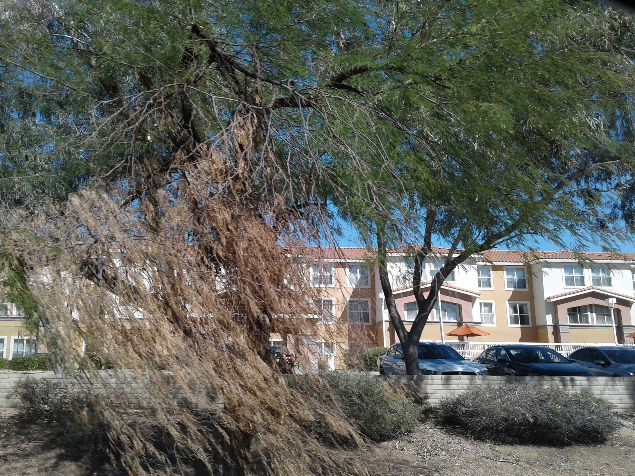 Street view near Homewood Suites by Hilton Phoenix / Scottsdale, Paradise Valley — © drkludge (CC BY-SA · Mapillary)