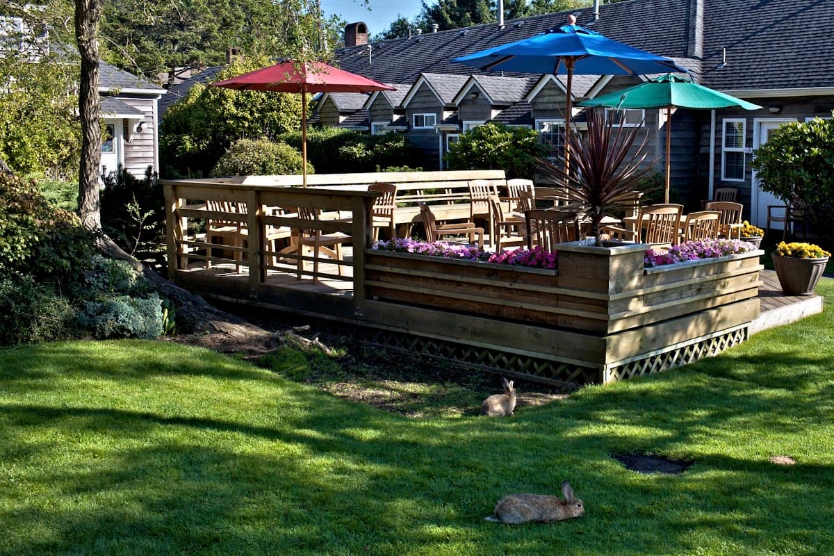 Ecola Creek Lodge, Guesthouse in Cannon Beach