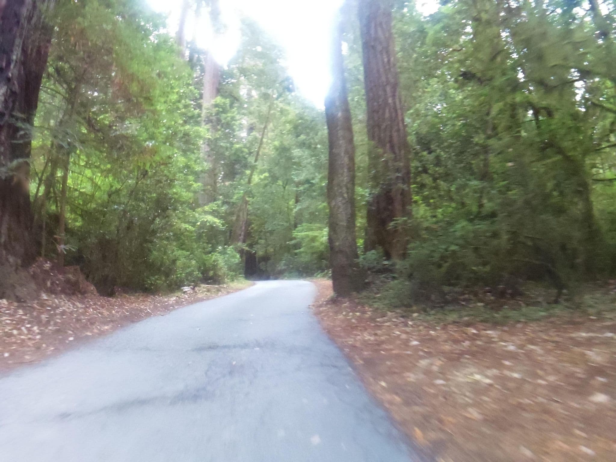 Street view near Hike and Bike Campsites, Bertsch-Oceanview — © andrewsnow (CC BY-SA · Mapillary)