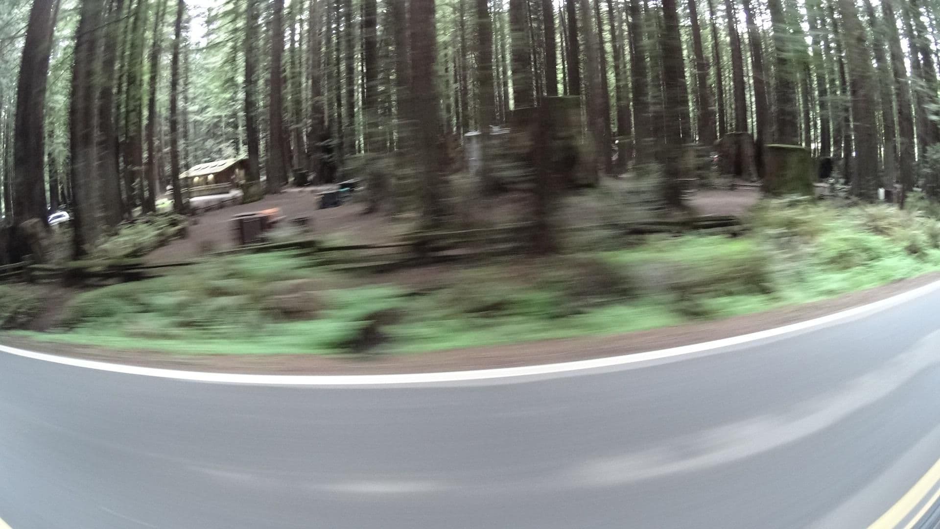 Street view near Burlington Campground, Redway — © marker_geo (CC BY-SA · Mapillary)