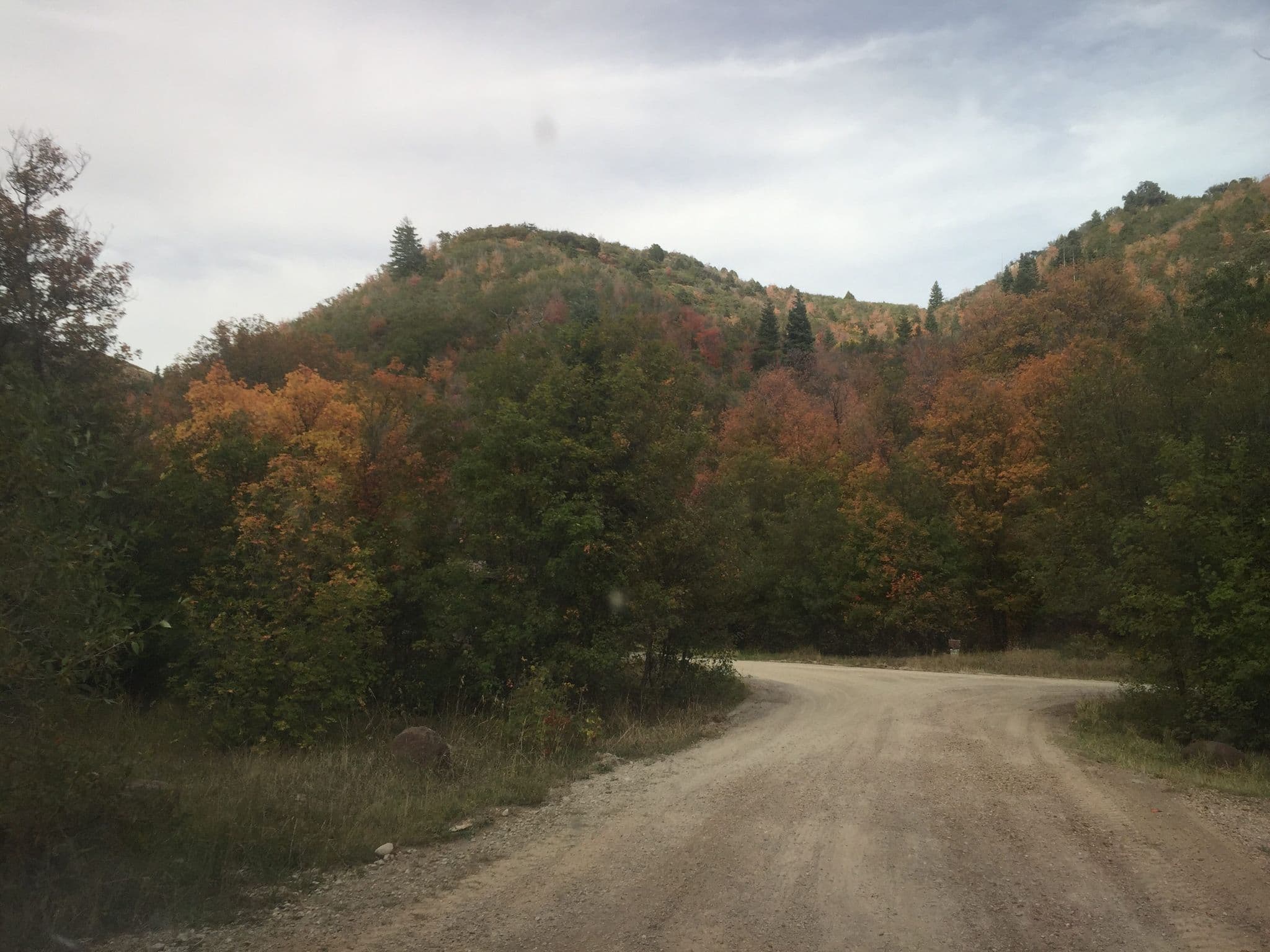 Street view near Cottonwood Campground, Mona — © canadarunner (CC BY-SA · Mapillary)