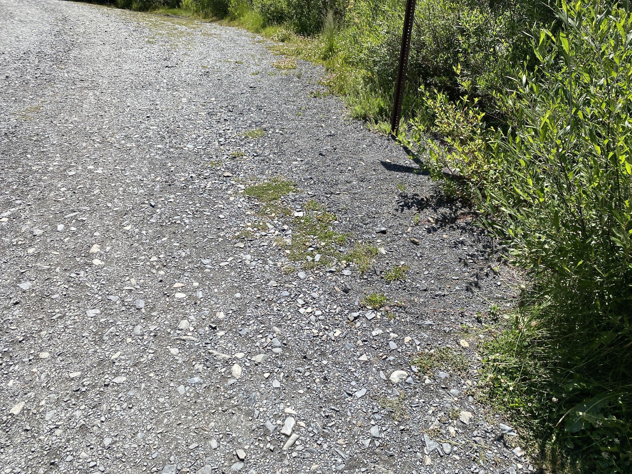 Street view near Oh-Be-Joyful Campground, Crested Butte — © derricknehrenberg (CC BY-SA · Mapillary)