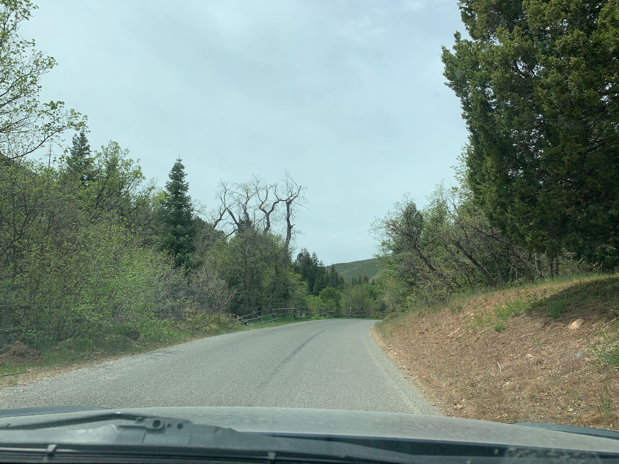 Street view near Balsam Campground, Mapleton — © innerpace (CC BY-SA · Mapillary)