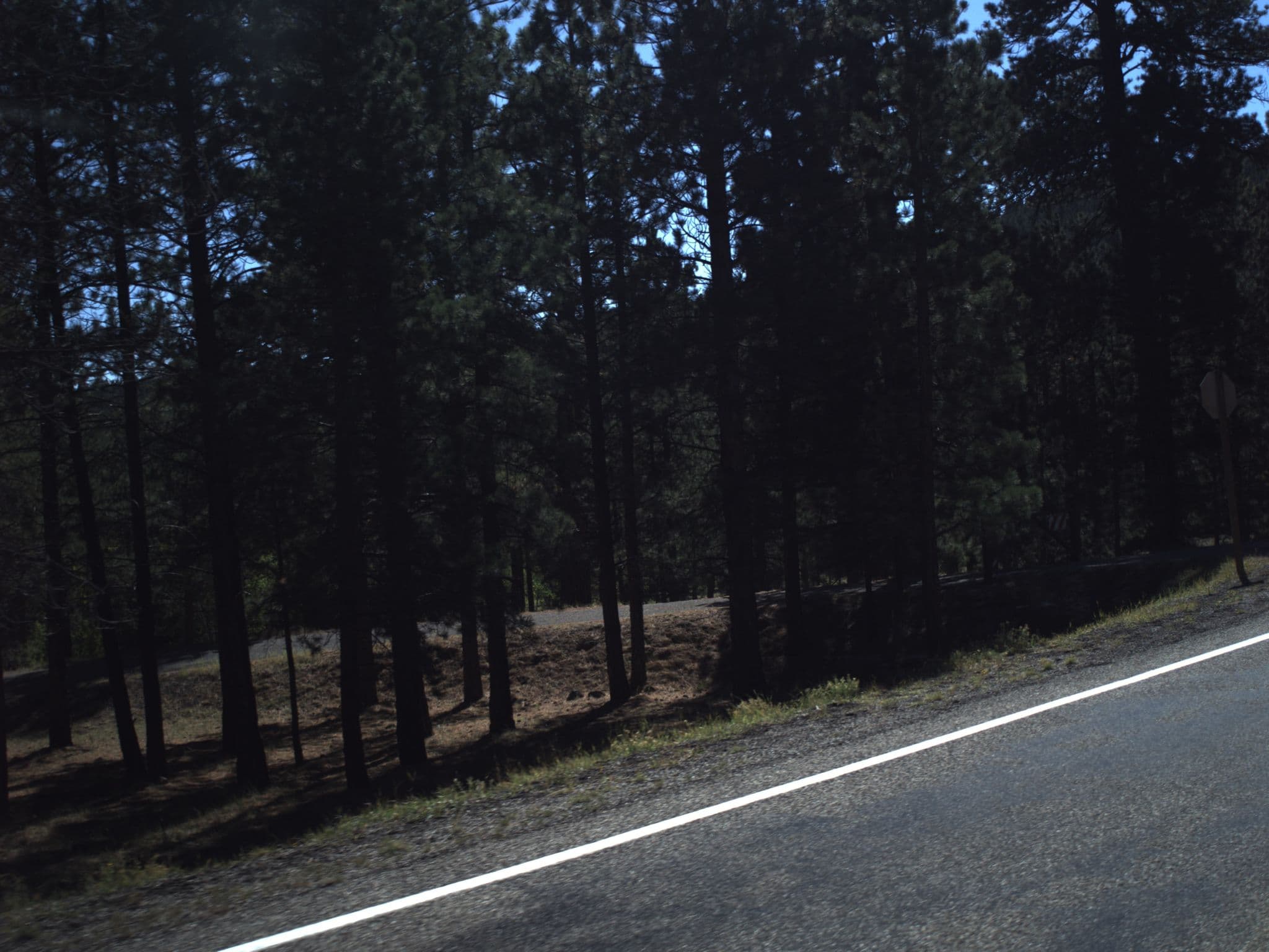 Street view near Lower Pleasant Creek Campground, Panguitch