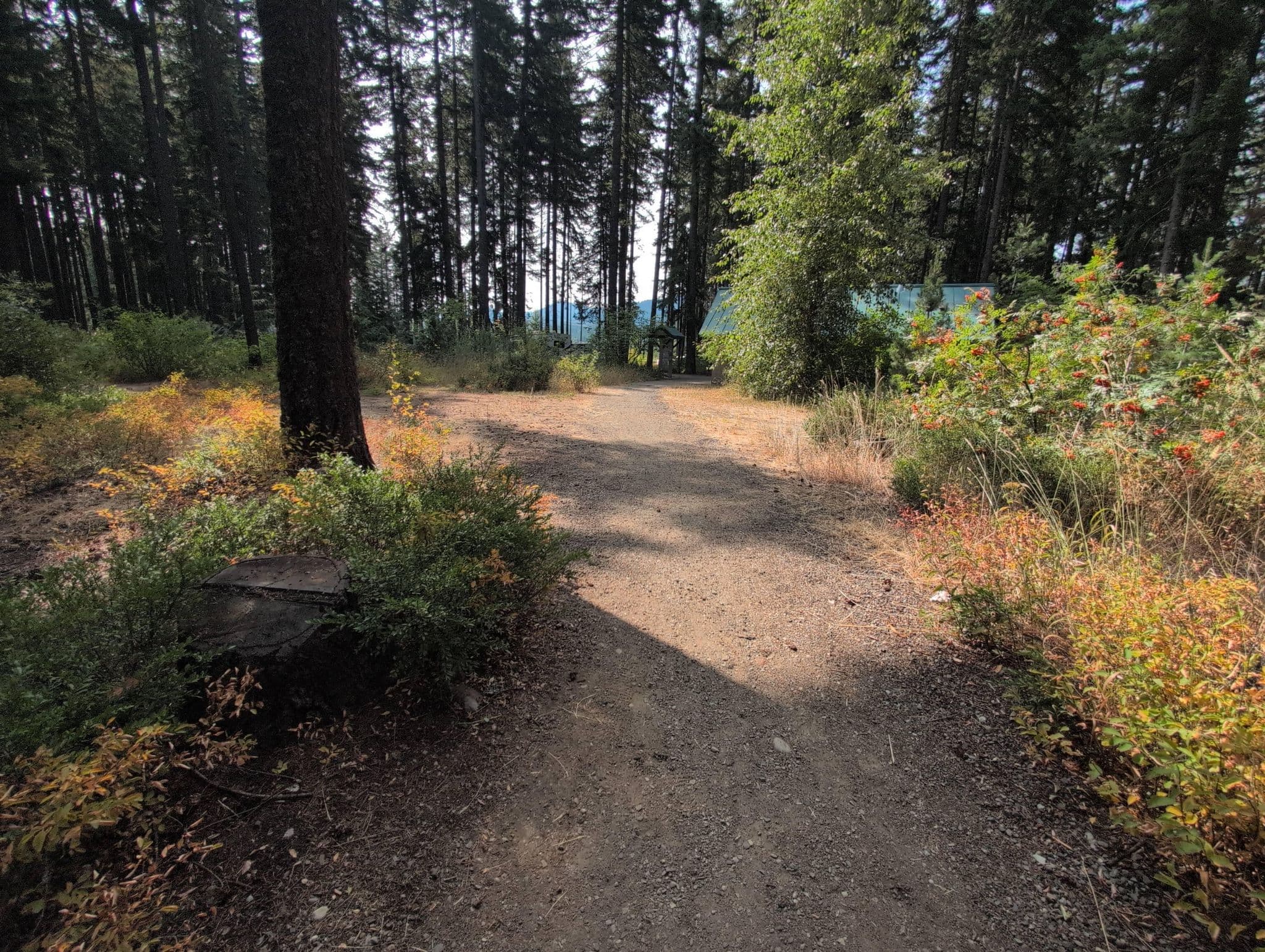 Street view near Lake Easton State Park Campground, Cle Elum — © tannewt (CC BY-SA · Mapillary)
