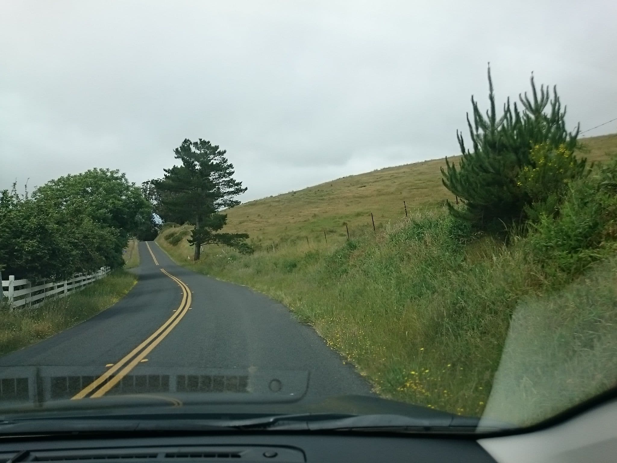 Street view near Estero School House, Bodega Bay — © voschix (CC BY-SA · Mapillary)