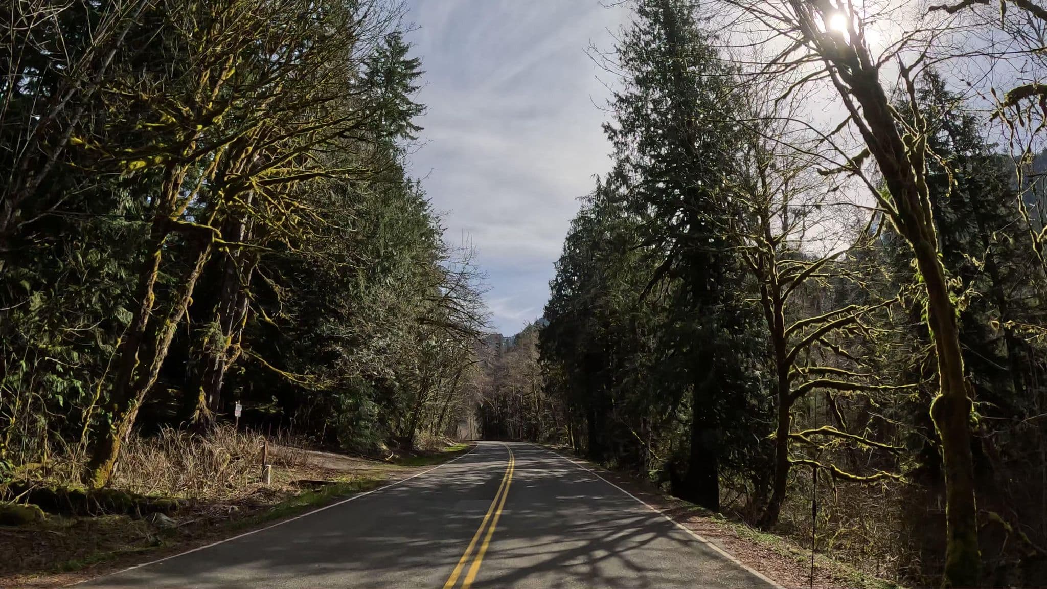 Street view near Triangle Recreation Camp, Darrington — © robinmonks (CC BY-SA · Mapillary)