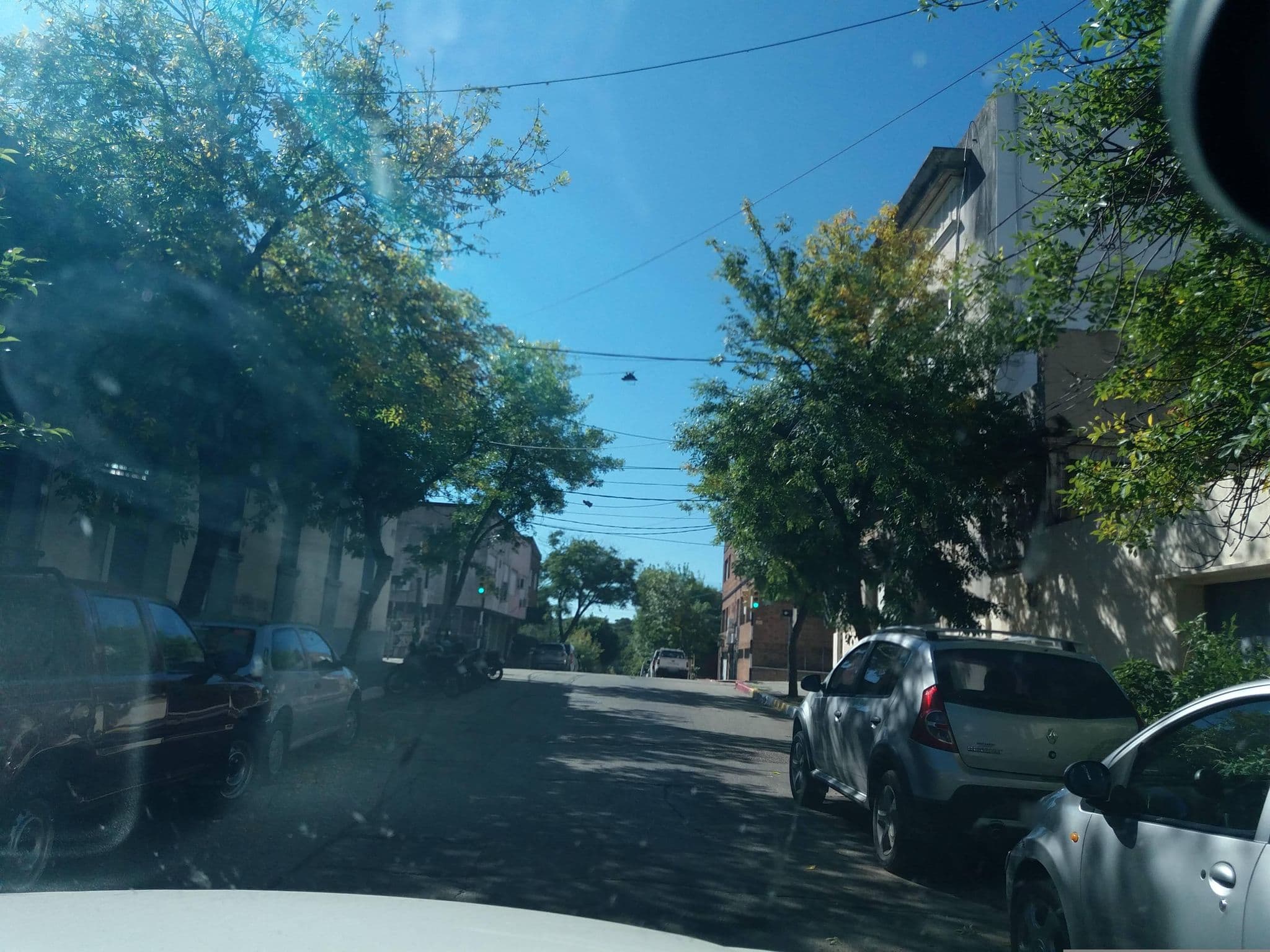 Street view near Hostal del Jardin, Salto — © andrcondon (CC BY-SA · Mapillary)