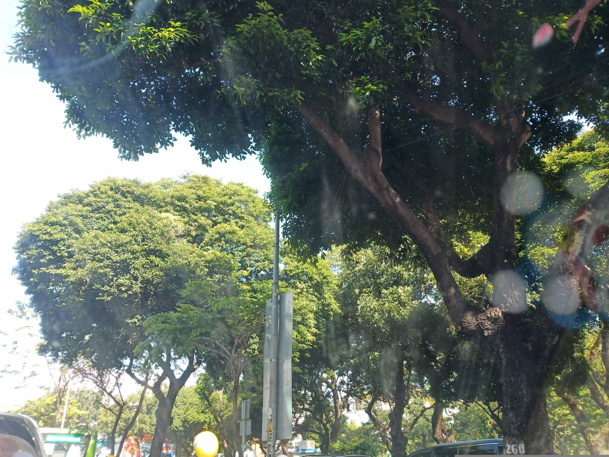 Street view near Khách Sạn A25, Quận Ba — © sg_right_1 (CC BY-SA · Mapillary)