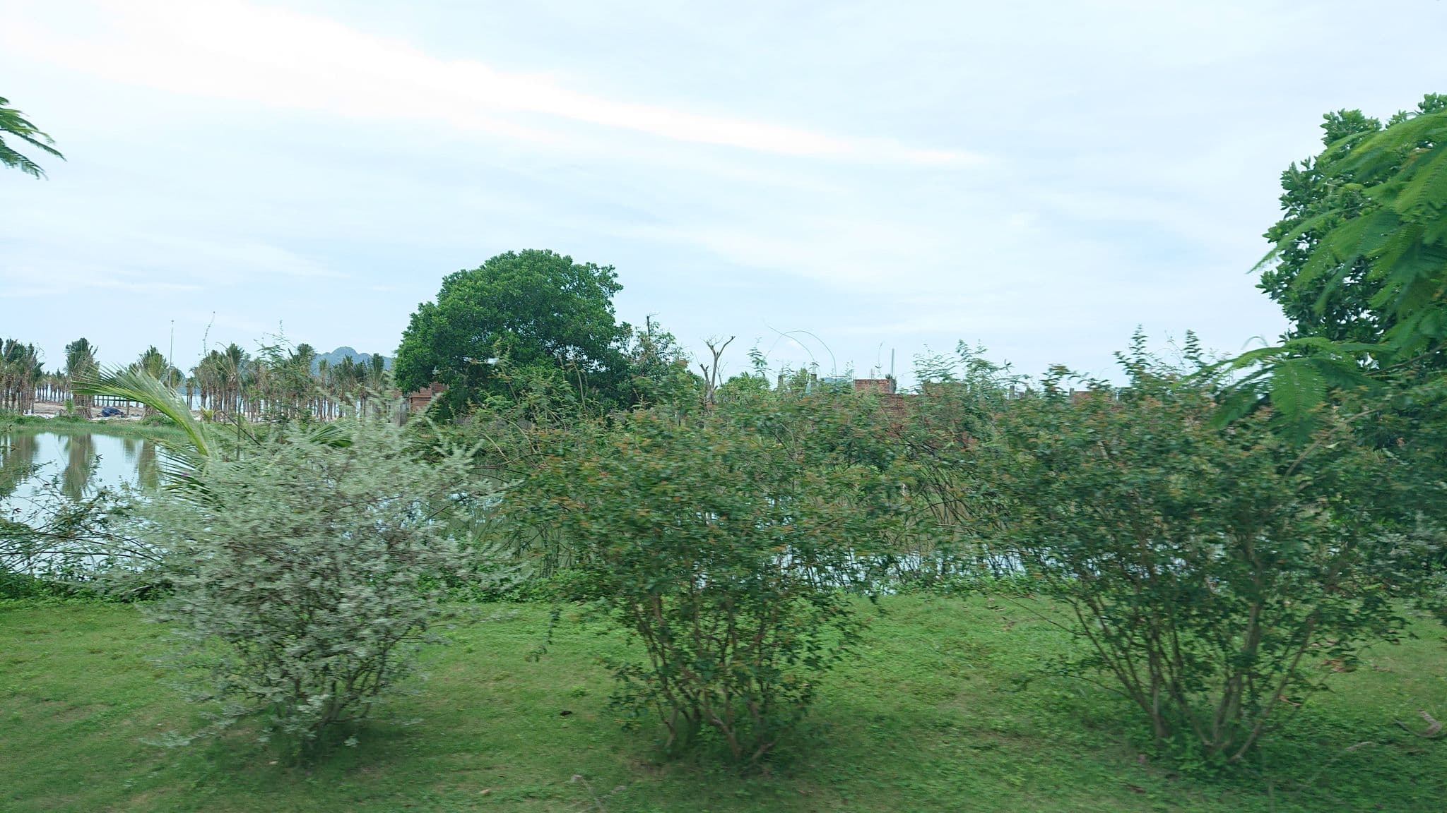 Street view near Banana and Rose Homestay, Hạ Long — © alllenwang (CC BY-SA · Mapillary)