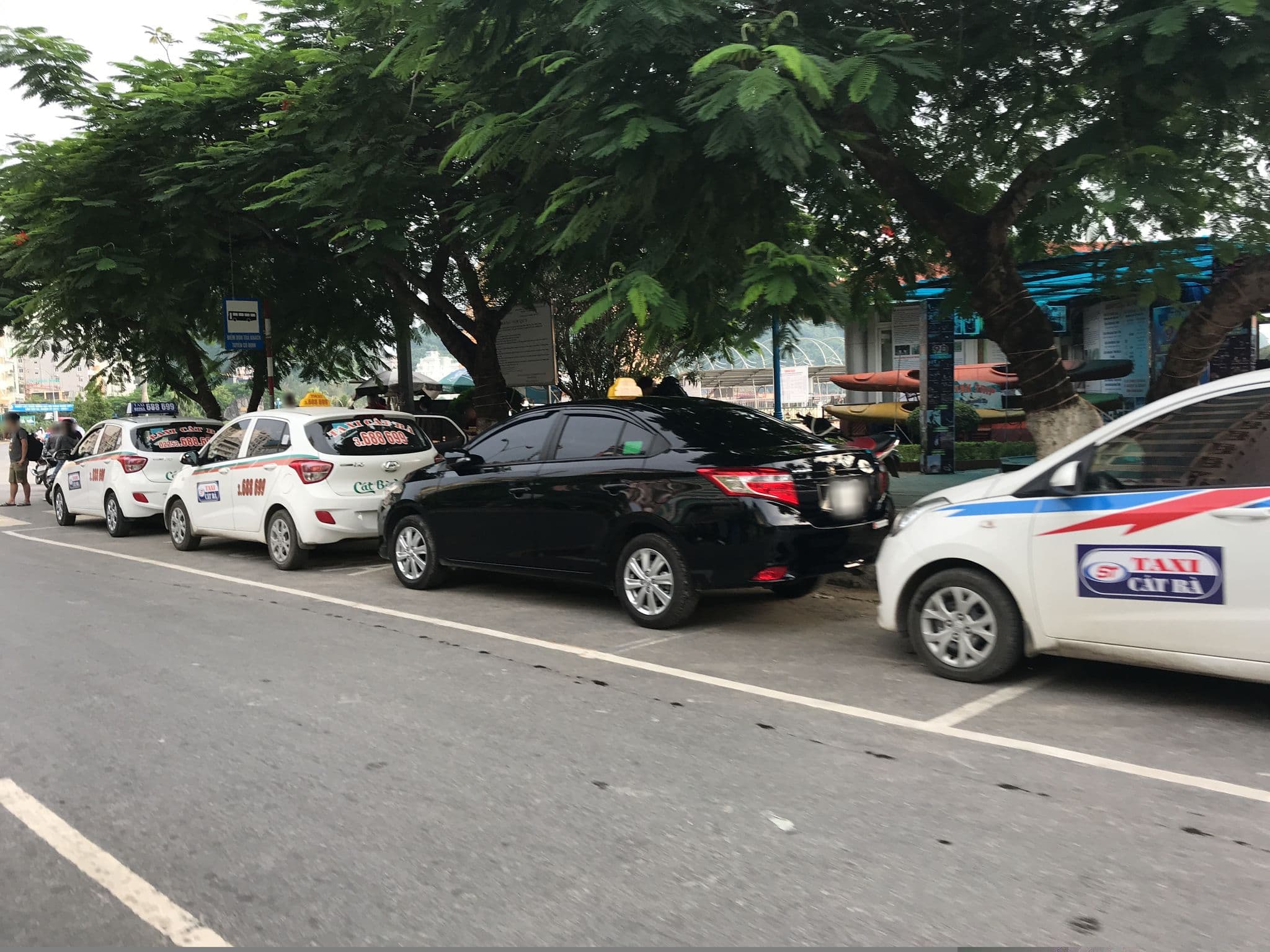 Street view near Sea Pearl Hotel & Spa, Cát Bà — © nigelramsay (CC BY-SA · Mapillary)
