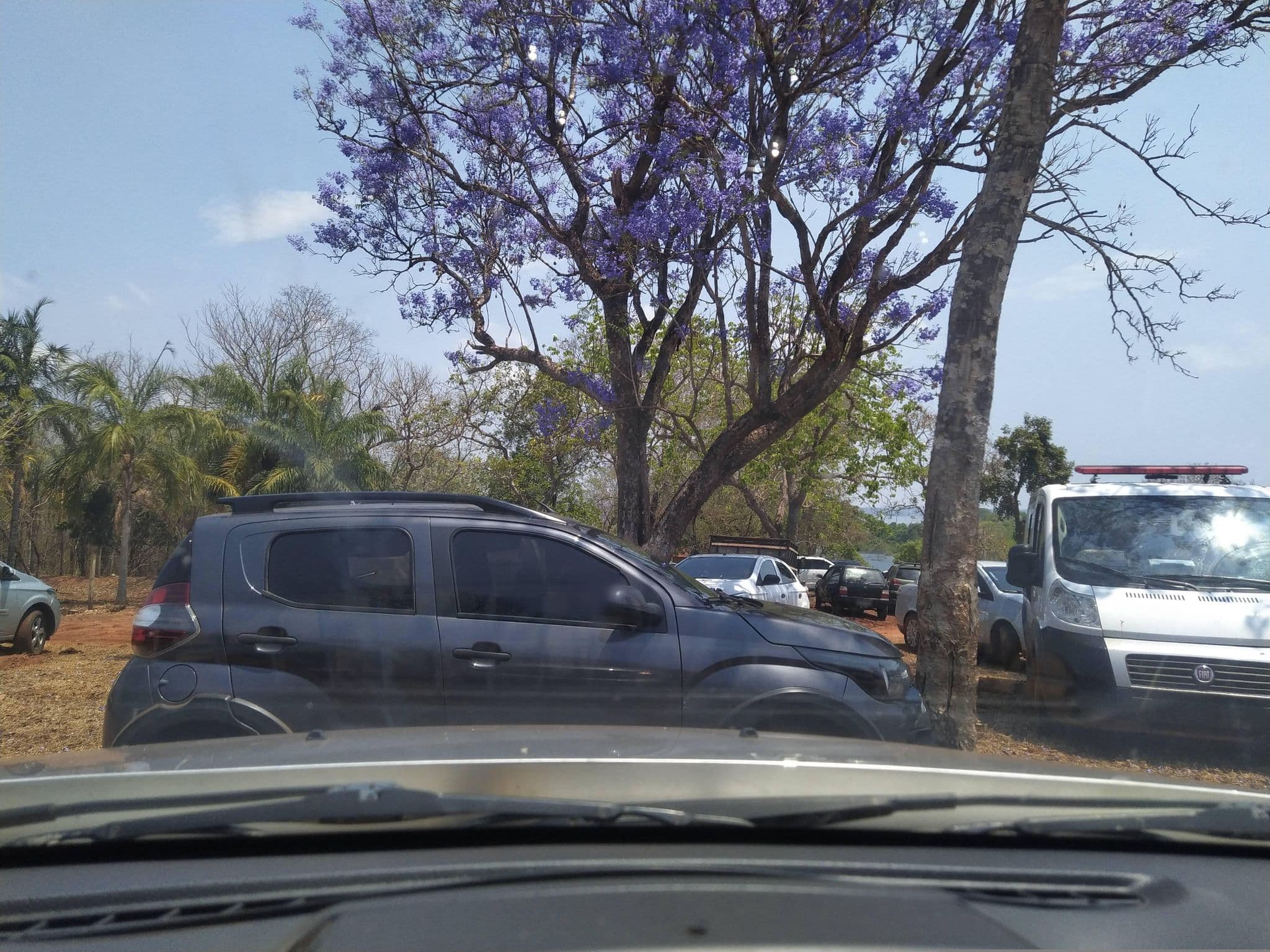 Street view near Rancho do Pindoba, Limeira do Oeste — © cmlomg (CC BY-SA · Mapillary)