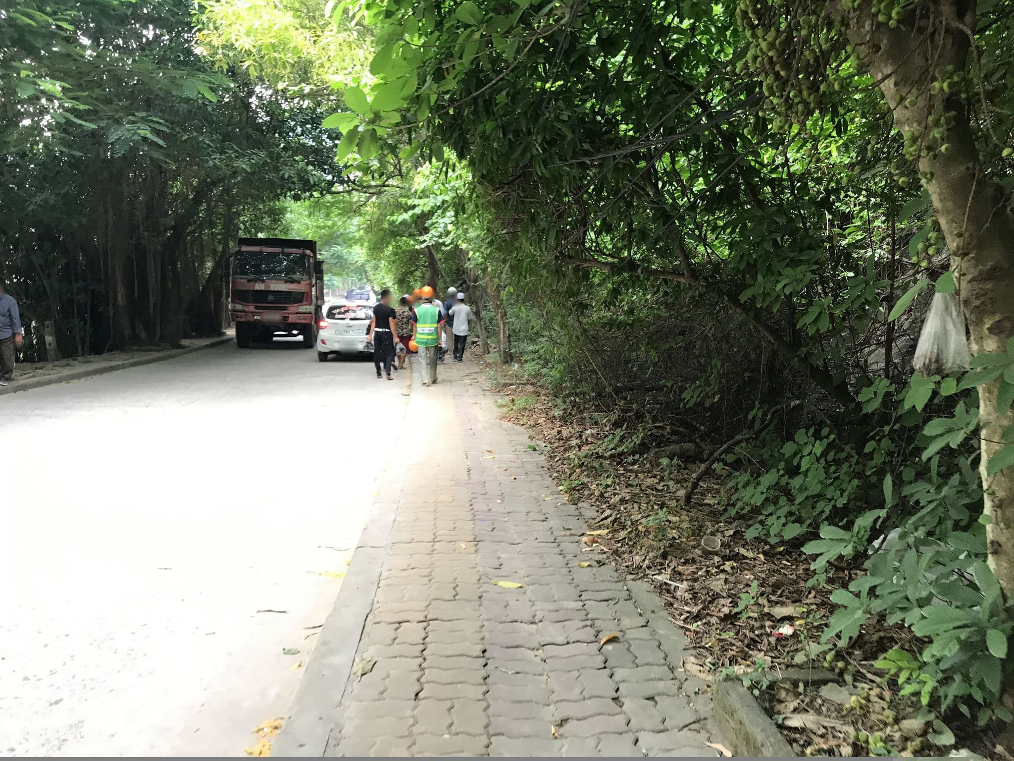 Street view near Hung Long Harbour Hotel, Cát Bà — © nigelramsay (CC BY-SA · Mapillary)